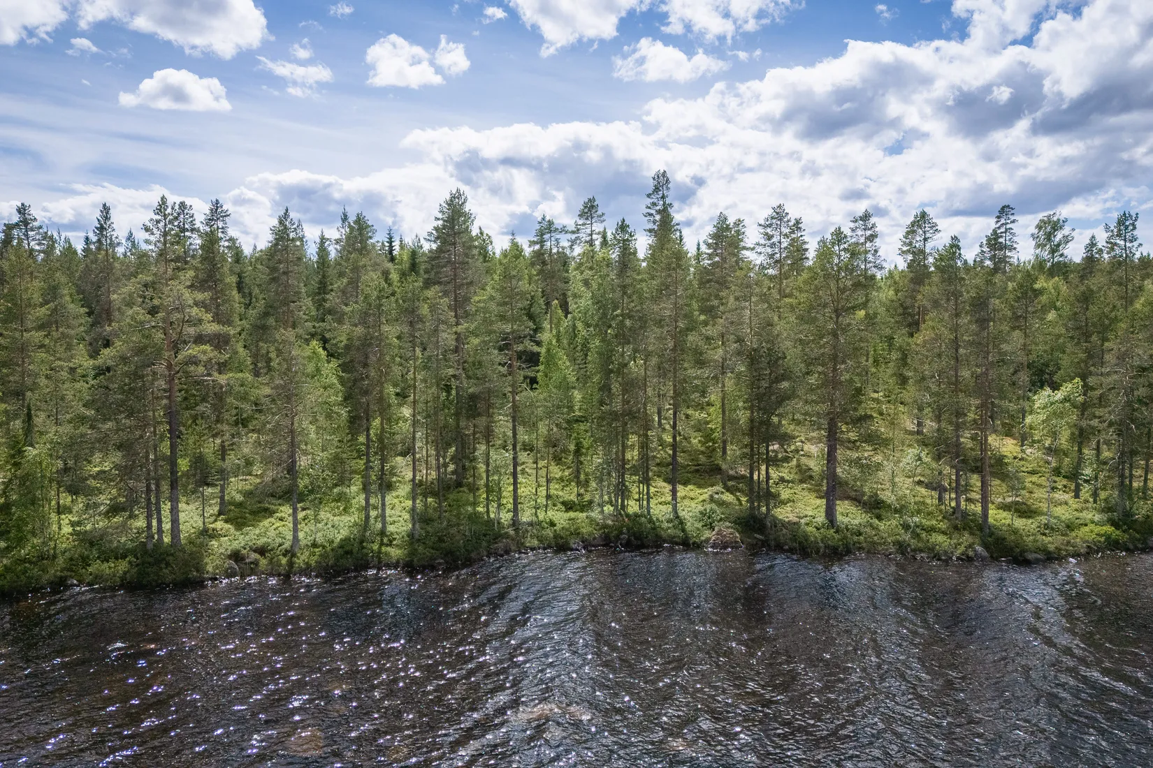 Gård/Skog, LJUSDAL FÖNE 7:9 och LJUSDAL FÖNE 11:7, Ljusdal