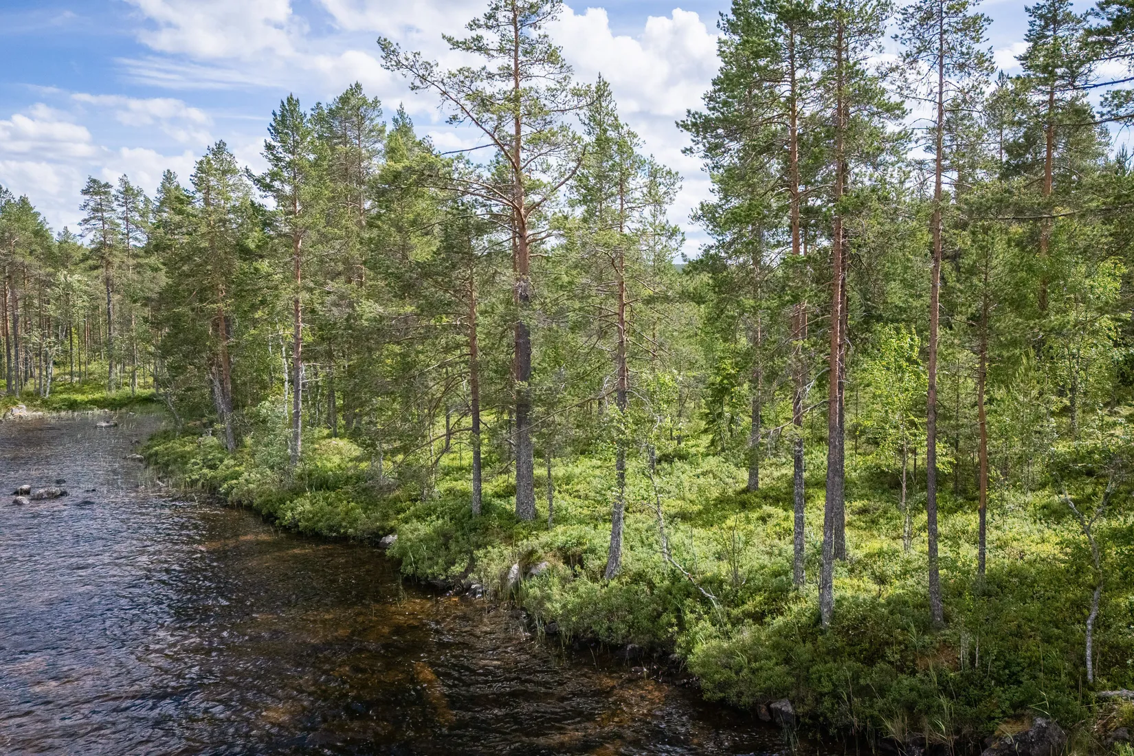 Gård/Skog, LJUSDAL FÖNE 7:9 och LJUSDAL FÖNE 11:7, Ljusdal