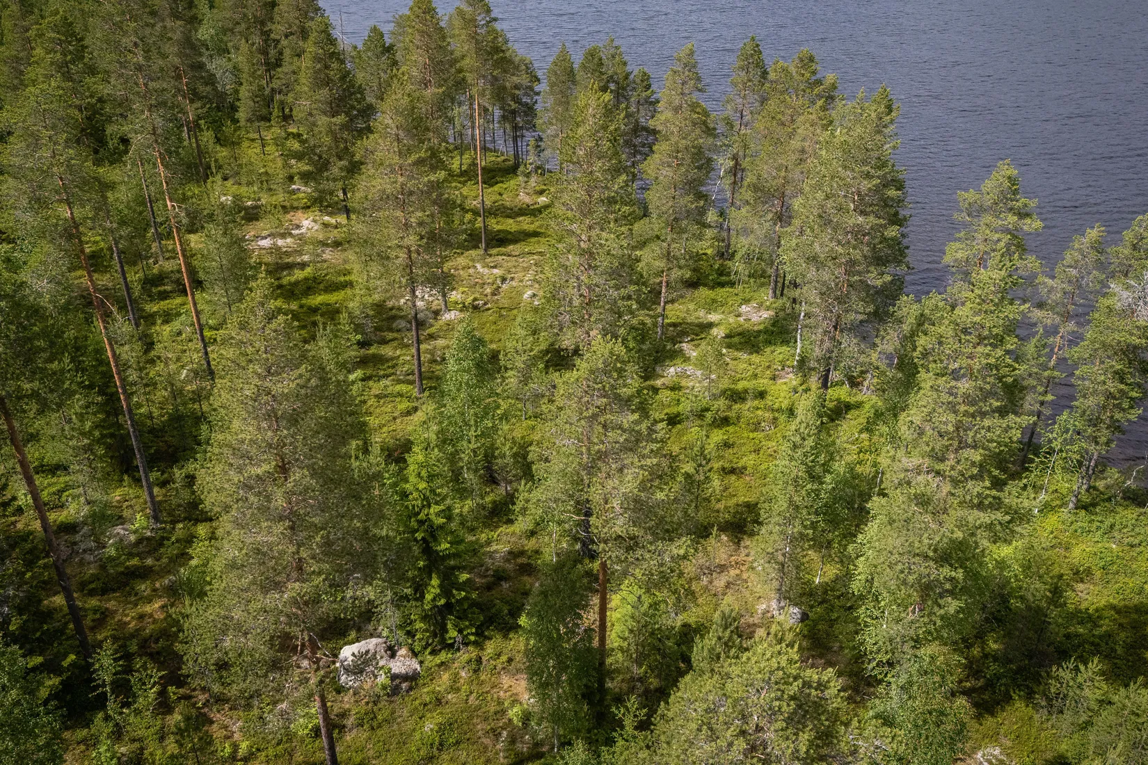 Gård/Skog, LJUSDAL FÖNE 7:9 och LJUSDAL FÖNE 11:7, Ljusdal