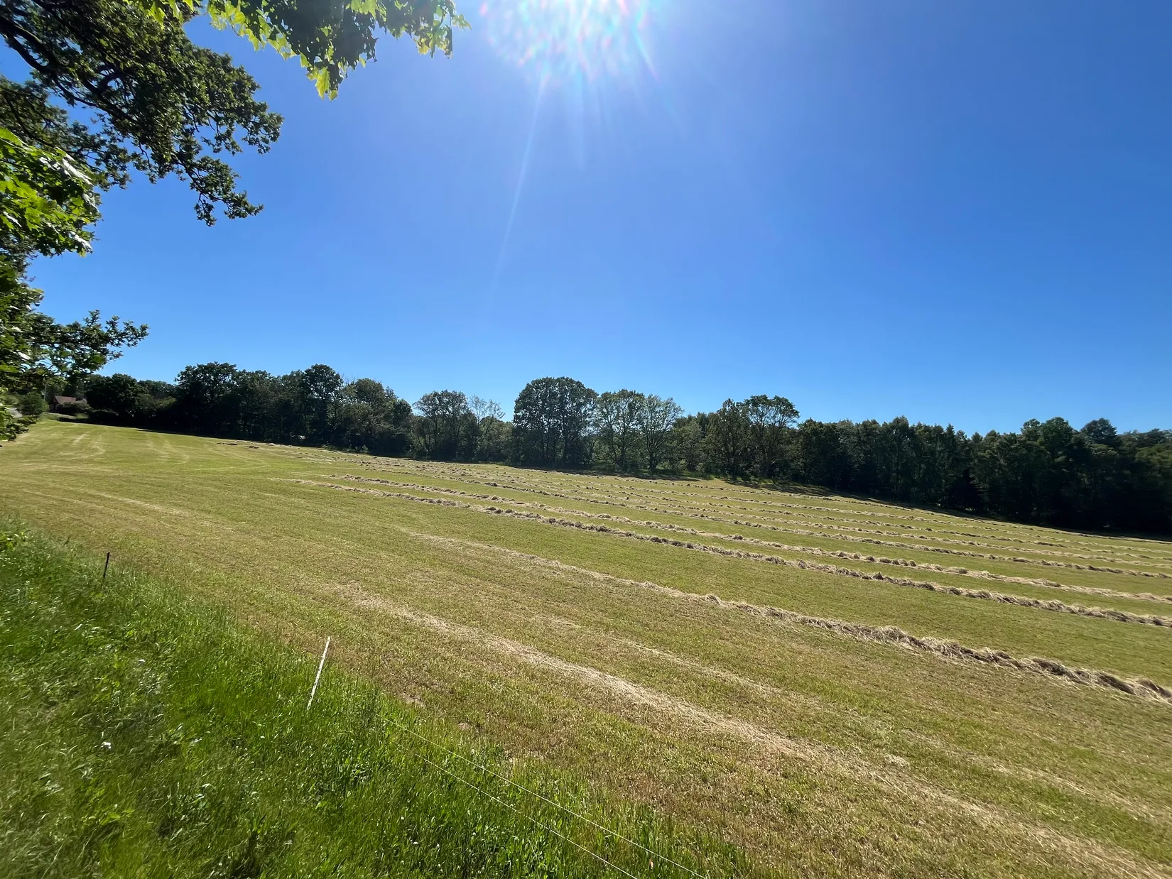 Gård/Skog, Ekastorp 4420, Ekastorp, Hörby