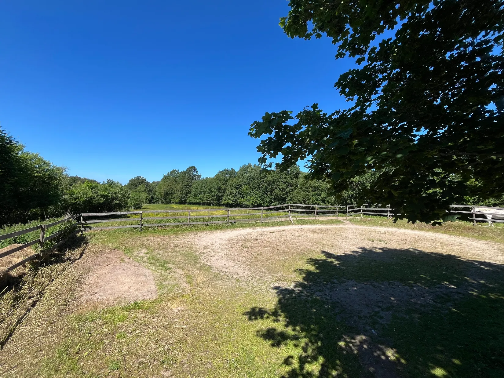 Gård/Skog, Ekastorp 4420, Ekastorp, Hörby