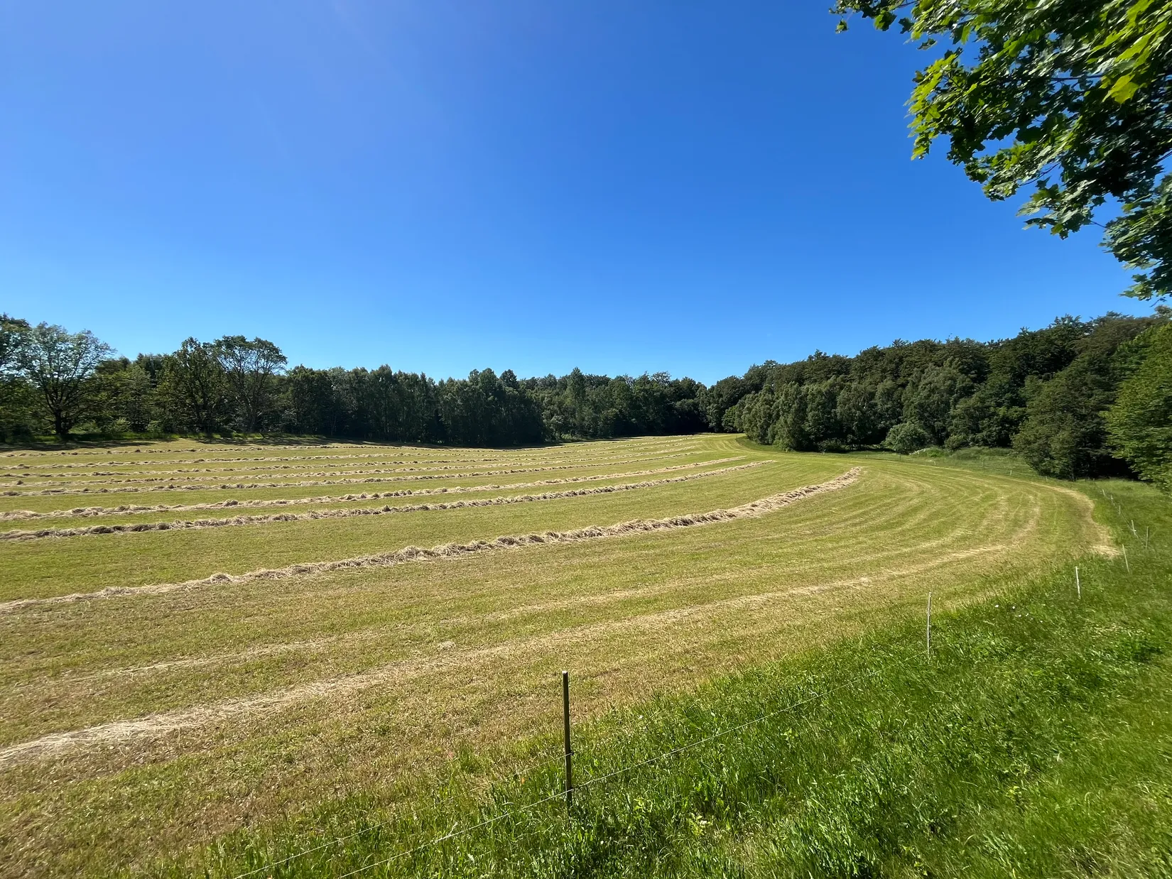 Gård/Skog, Ekastorp 4420, Ekastorp, Hörby
