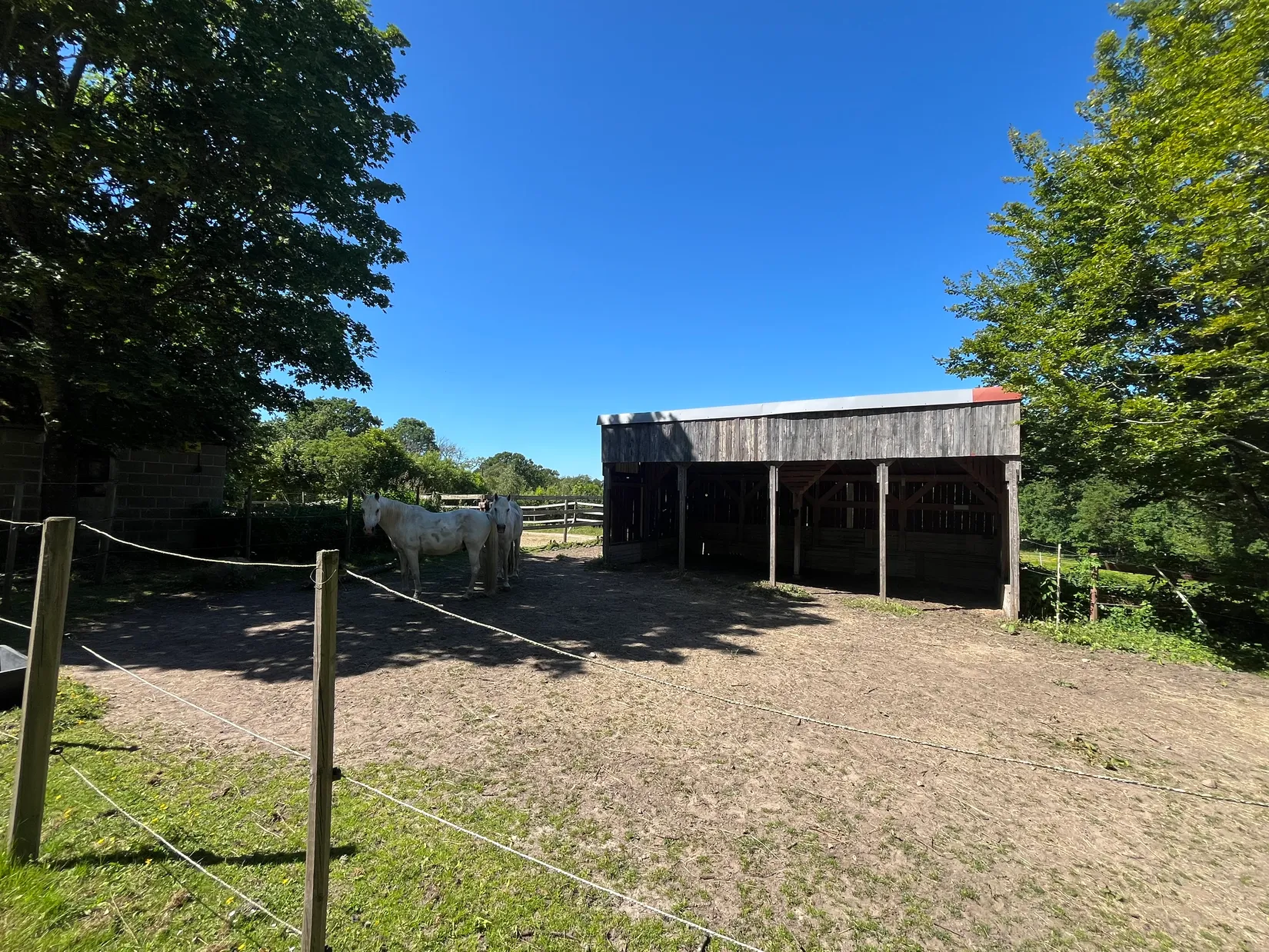 Gård/Skog, Ekastorp 4420, Ekastorp, Hörby