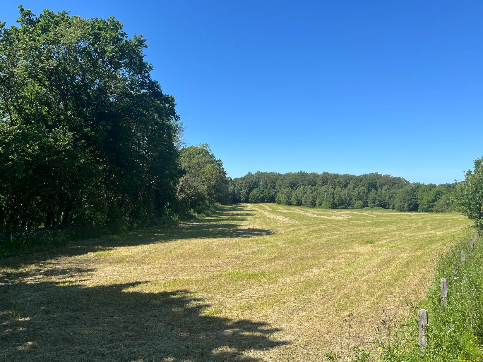 Gård/Skog, Ekastorp 4420, Ekastorp, Hörby