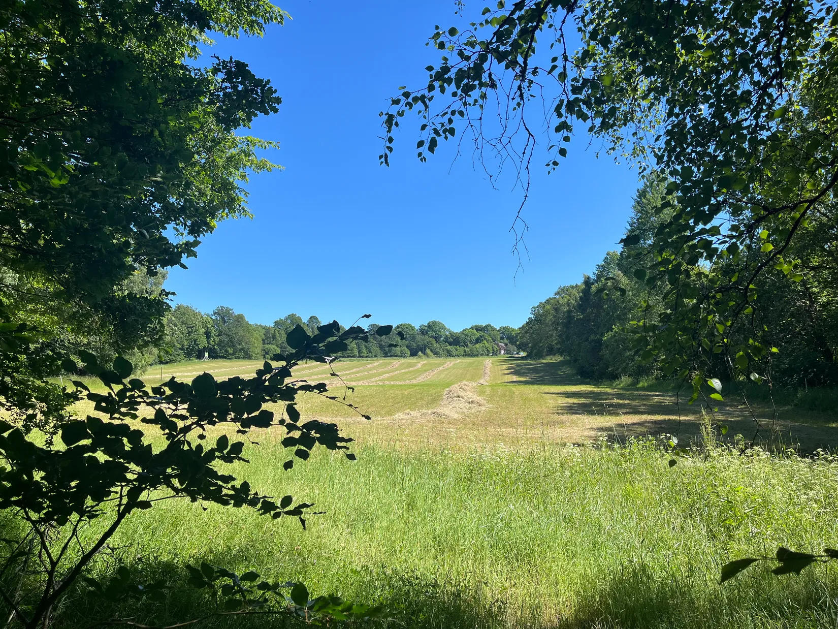 Gård/Skog, Ekastorp 4420, Ekastorp, Hörby