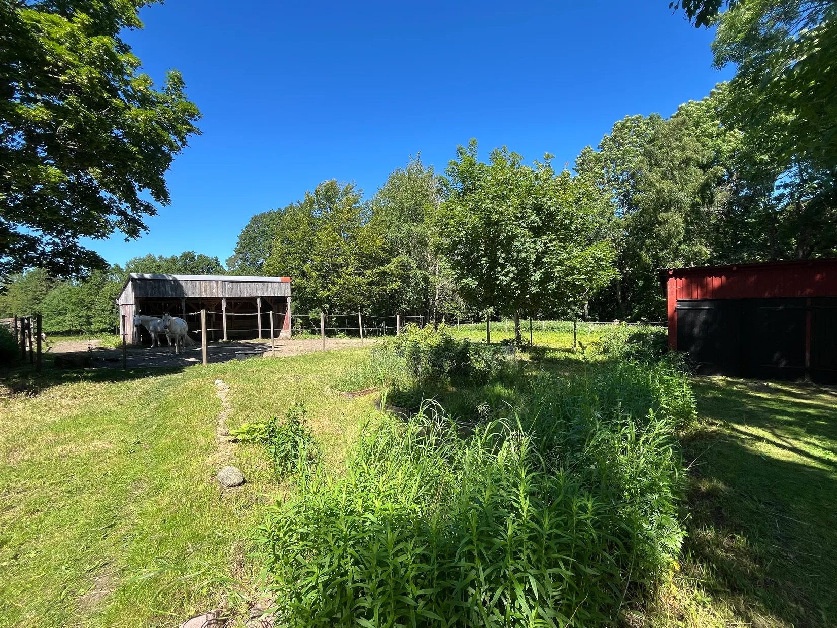 Gård/Skog, Ekastorp 4420, Ekastorp, Hörby