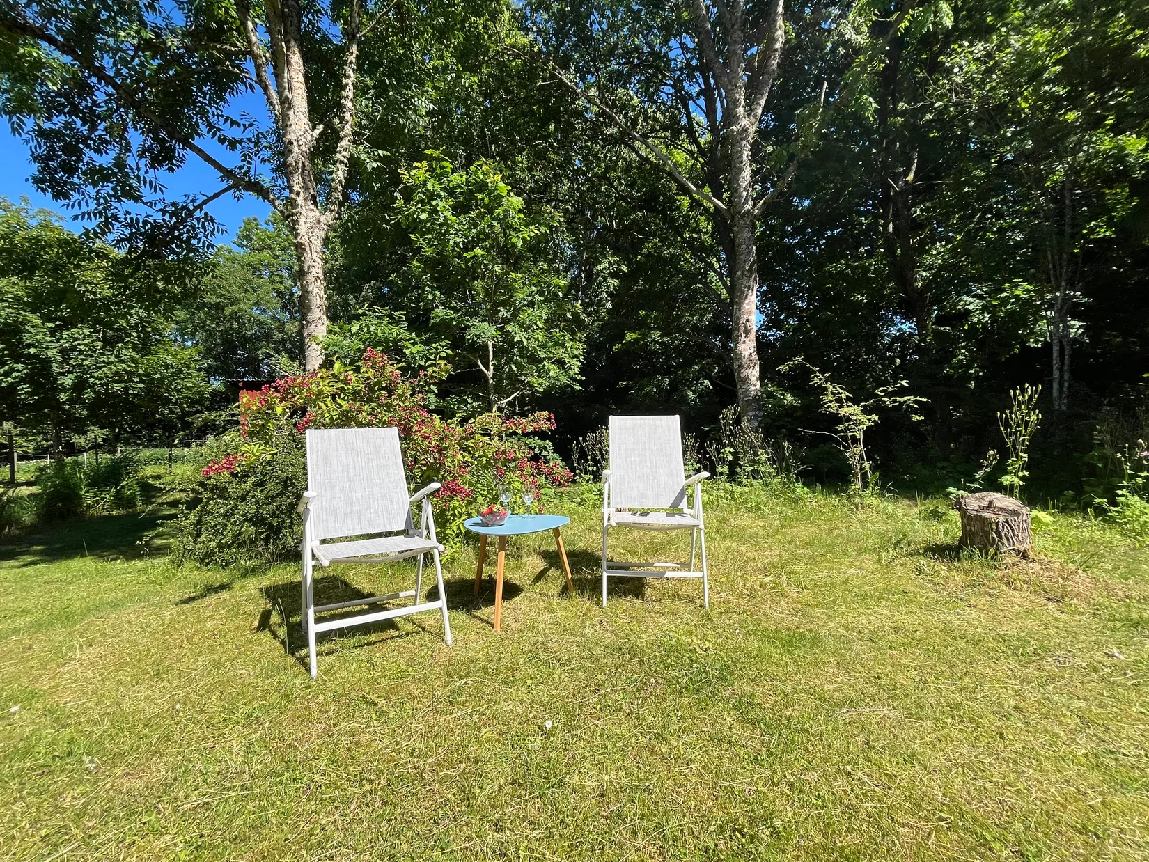 Gård/Skog, Ekastorp 4420, Ekastorp, Hörby