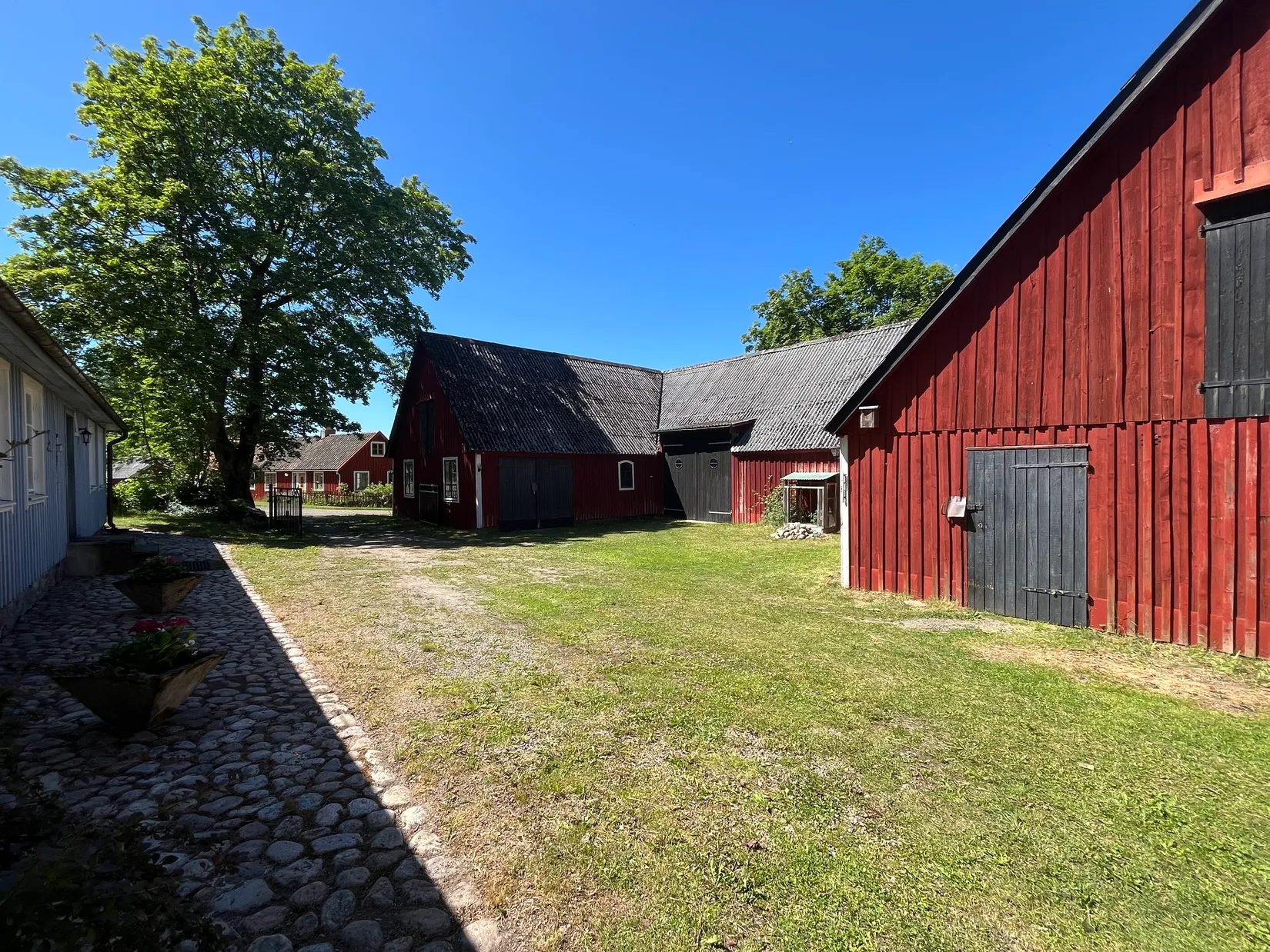 Gård/Skog, Ekastorp 4420, Ekastorp, Hörby
