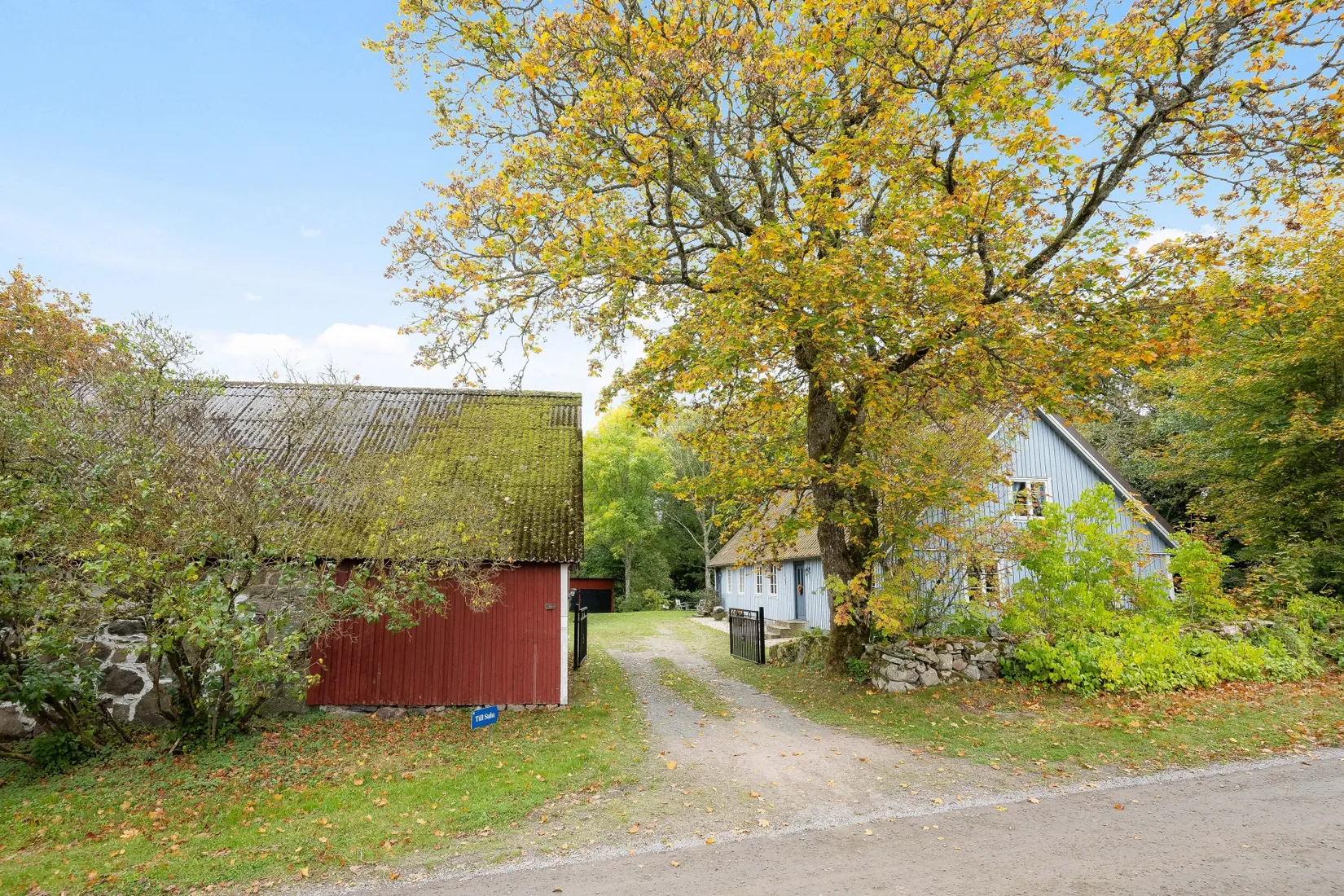 Gård/Skog, Ekastorp 4420, Ekastorp, Hörby