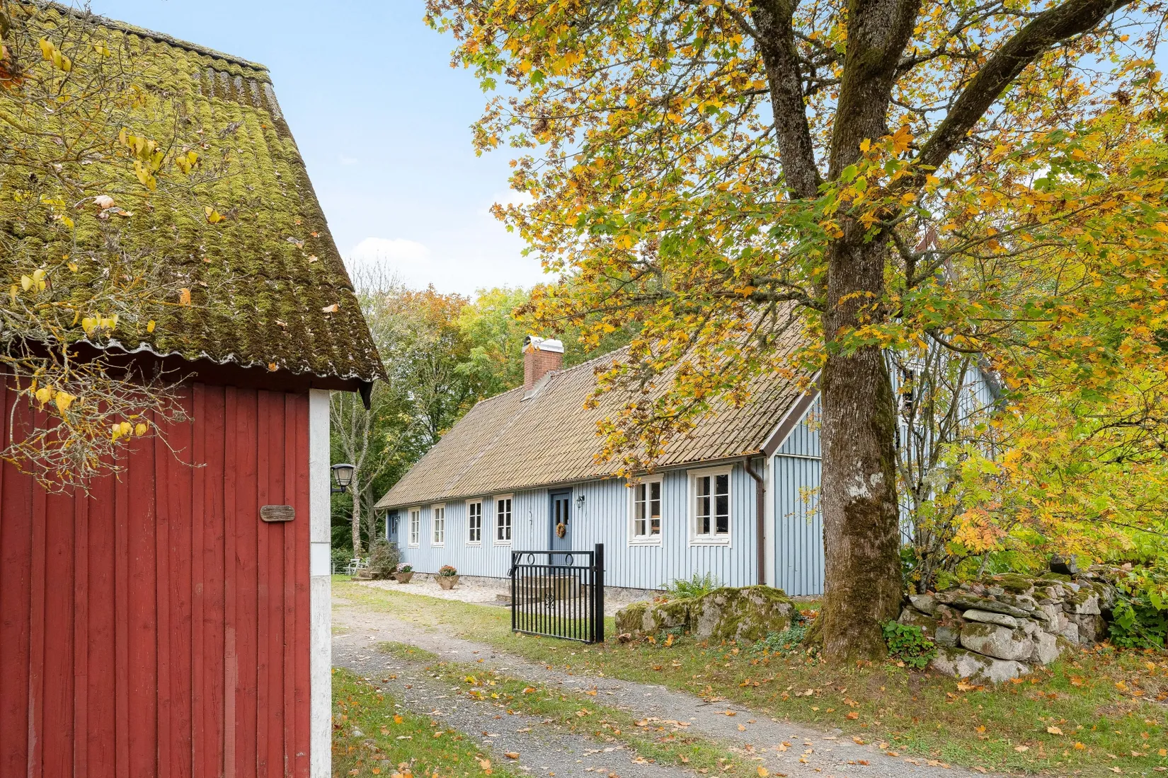 Gård/Skog, Ekastorp 4420, Ekastorp, Hörby