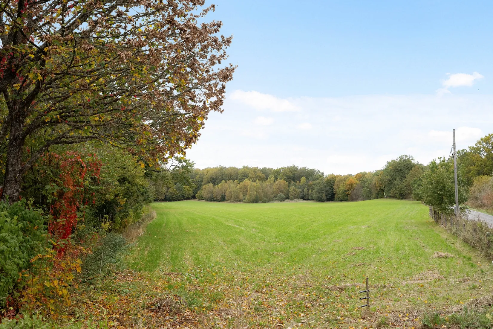 Gård/Skog, Ekastorp 4420, Ekastorp, Hörby