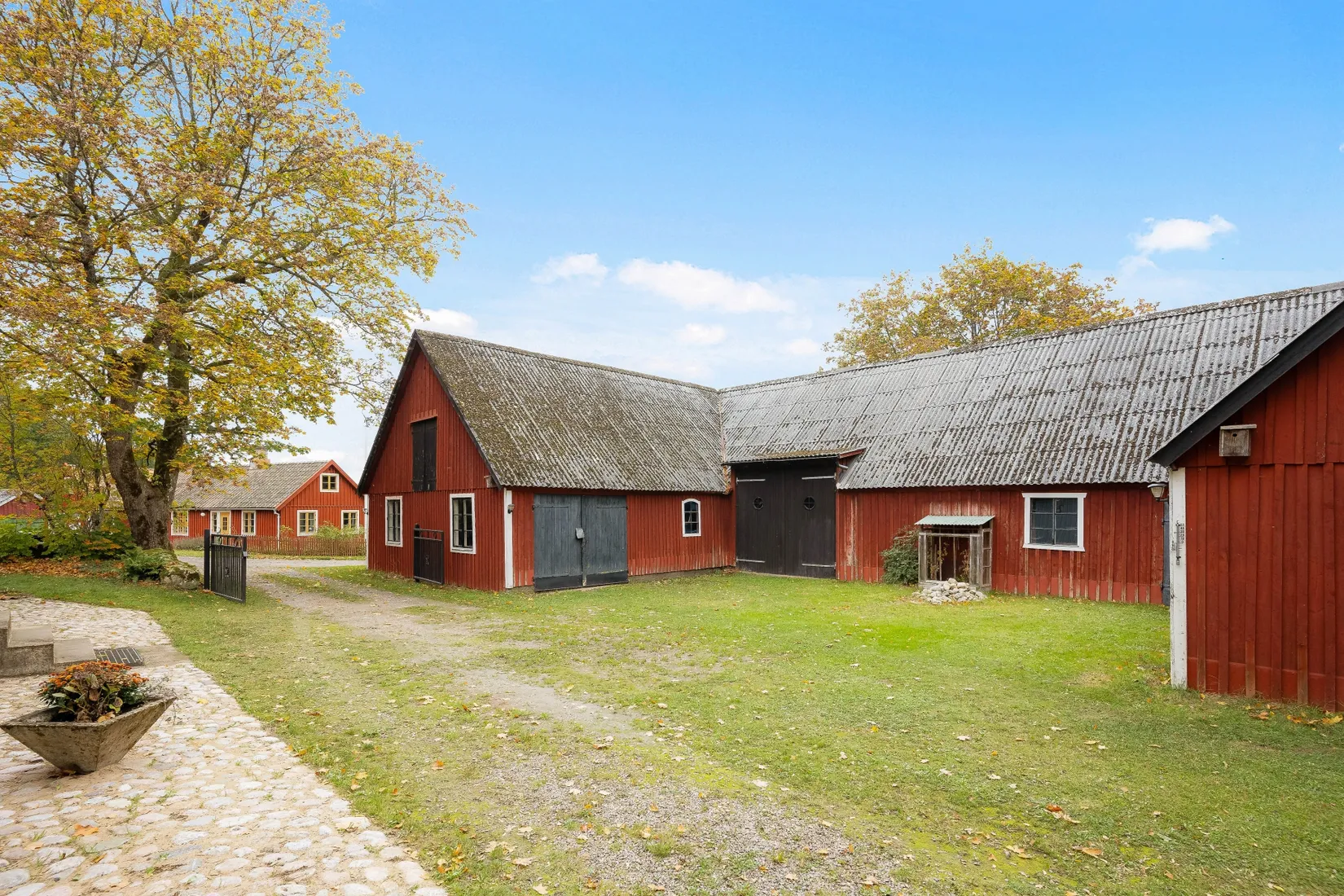 Gård/Skog, Ekastorp 4420, Ekastorp, Hörby