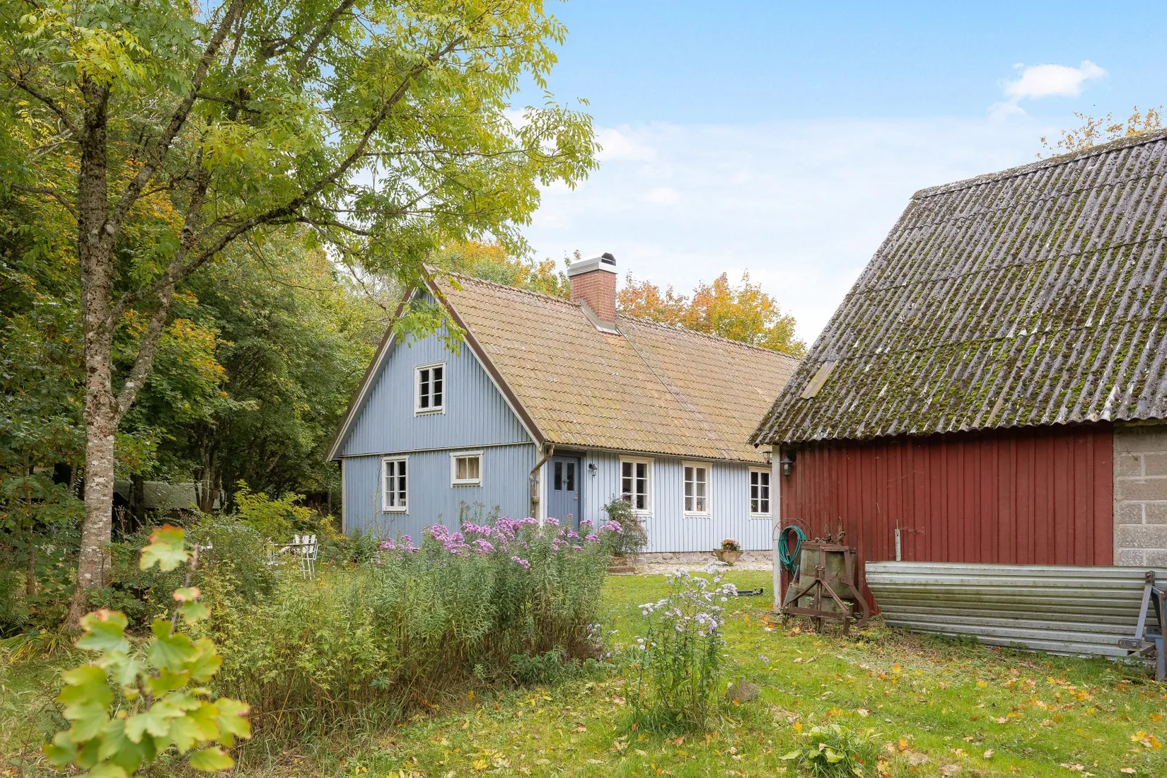 Gård/Skog, Ekastorp 4420, Ekastorp, Hörby