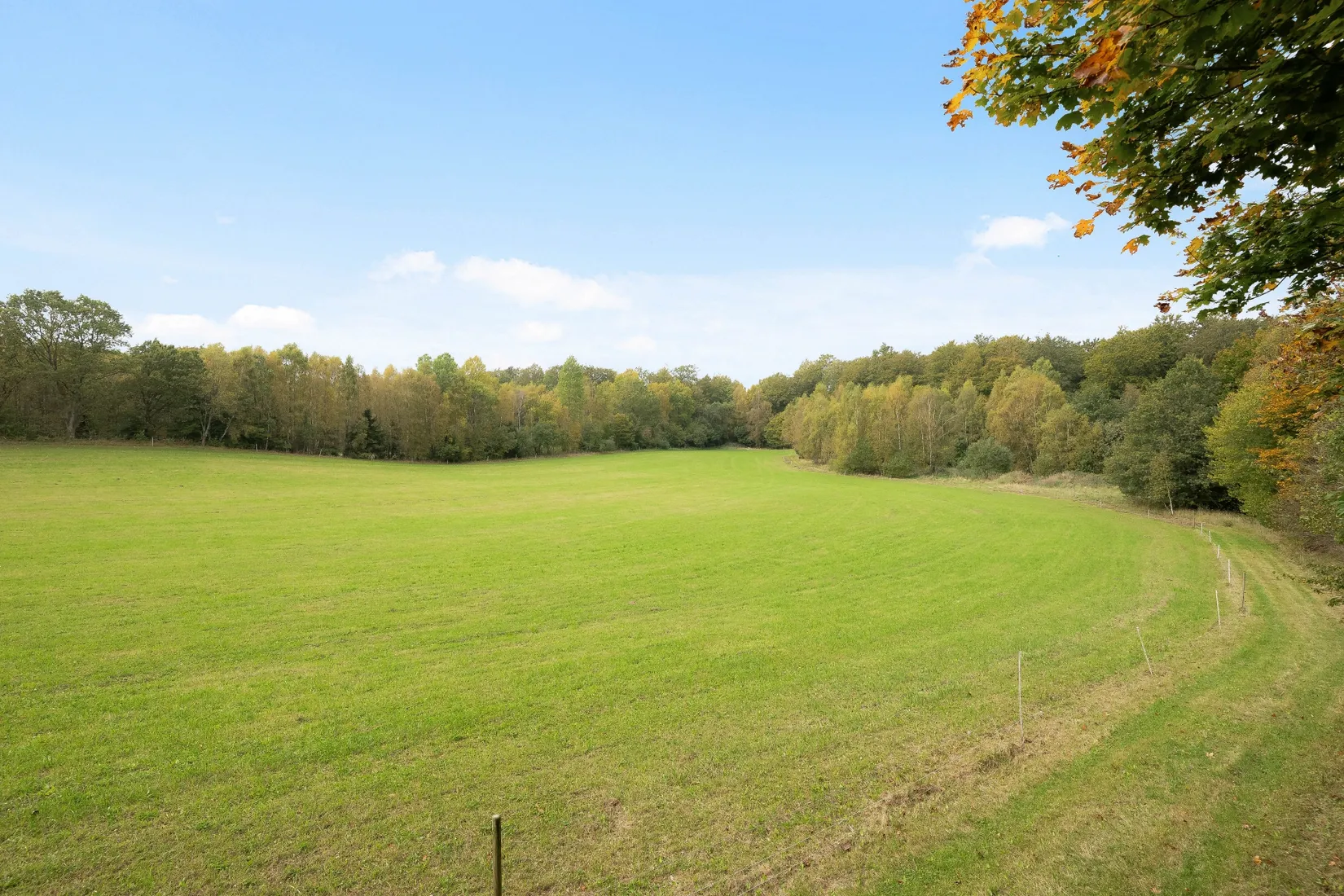 Gård/Skog, Ekastorp 4420, Ekastorp, Hörby