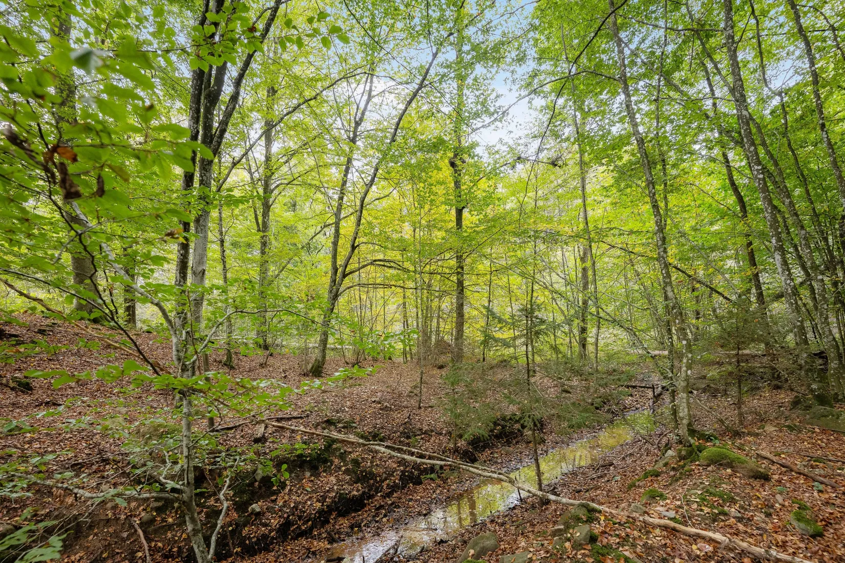 Gård/Skog, Ekastorp 4420, Ekastorp, Hörby