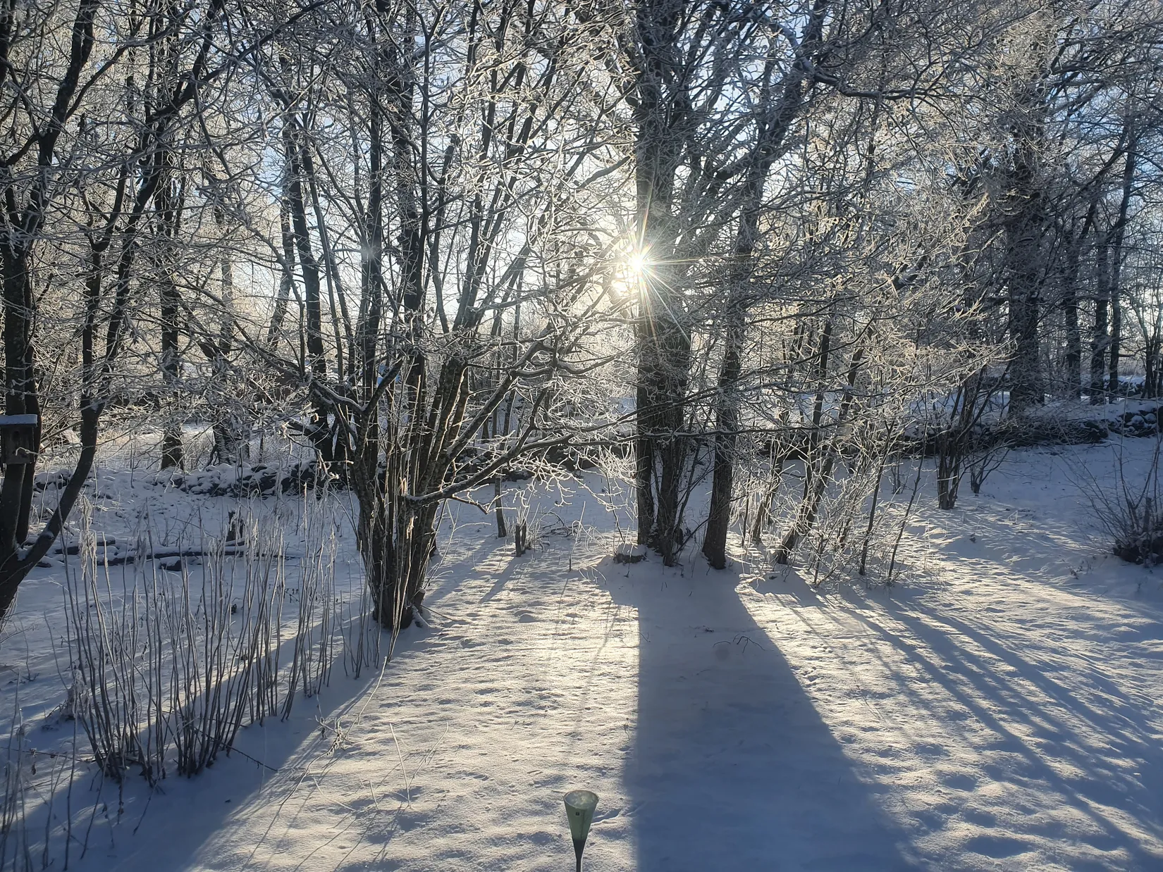 Gård/Skog, Ekastorp 4420, Ekastorp, Hörby
