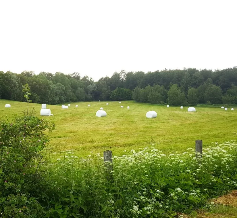 Gård/Skog, Ekastorp 4420, Ekastorp, Hörby
