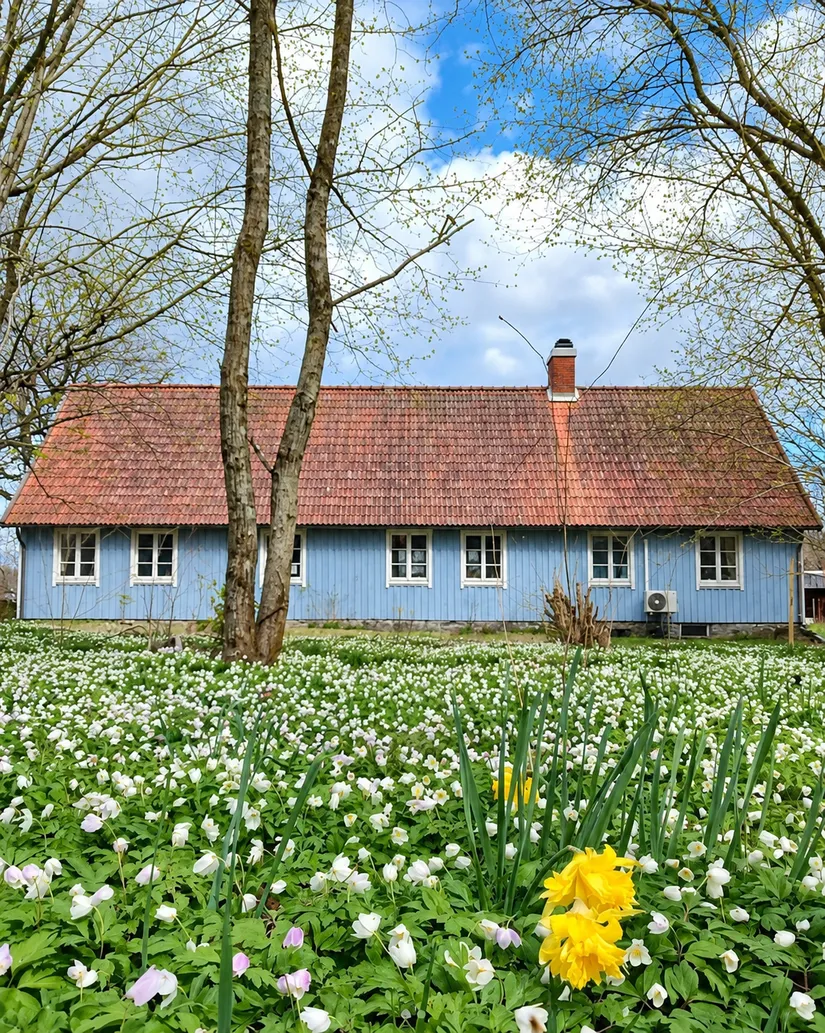 Gård/Skog, Ekastorp 4420, Ekastorp, Hörby