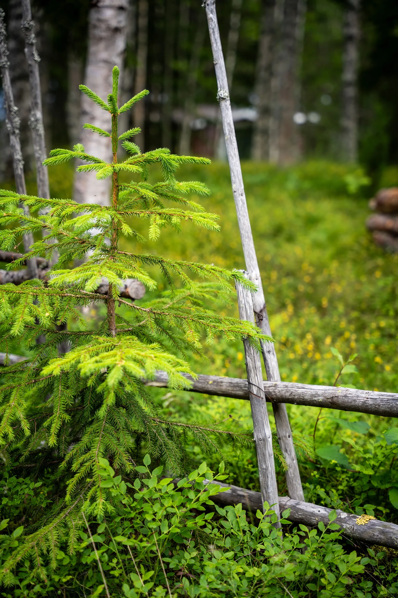 Fritidshus, Nästvattnet 260, Kramfors