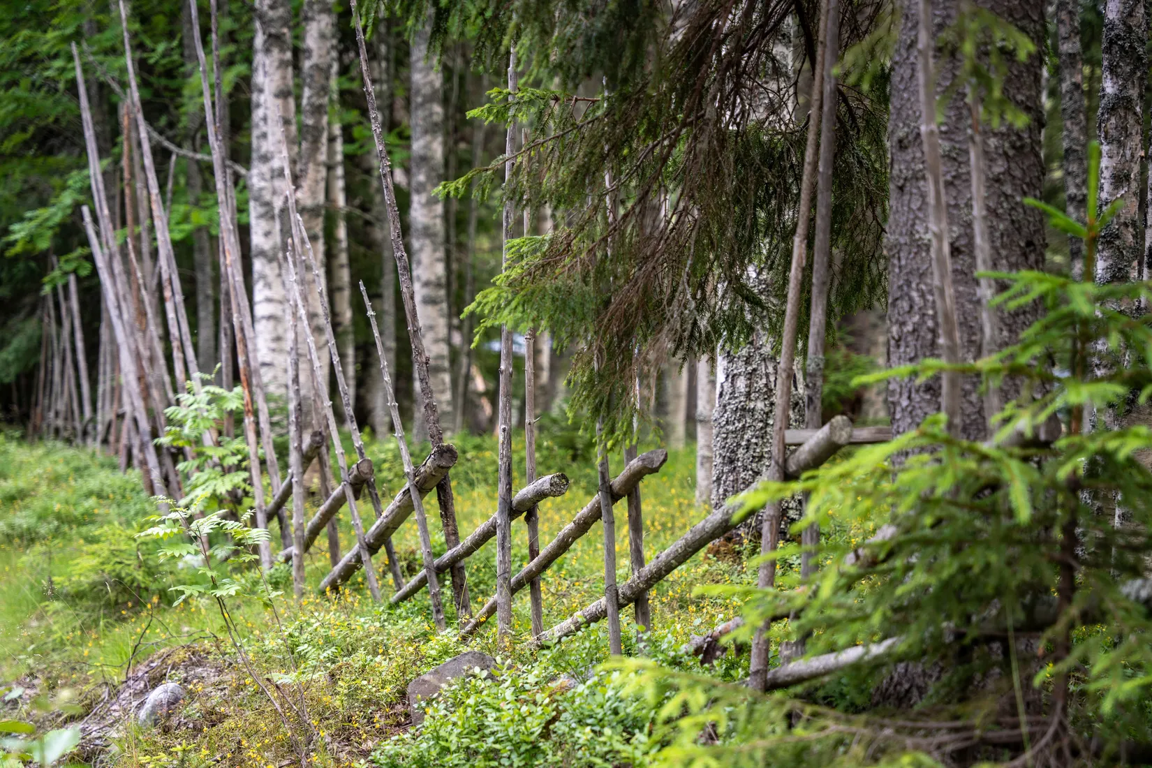 Fritidshus, Nästvattnet 260, Kramfors