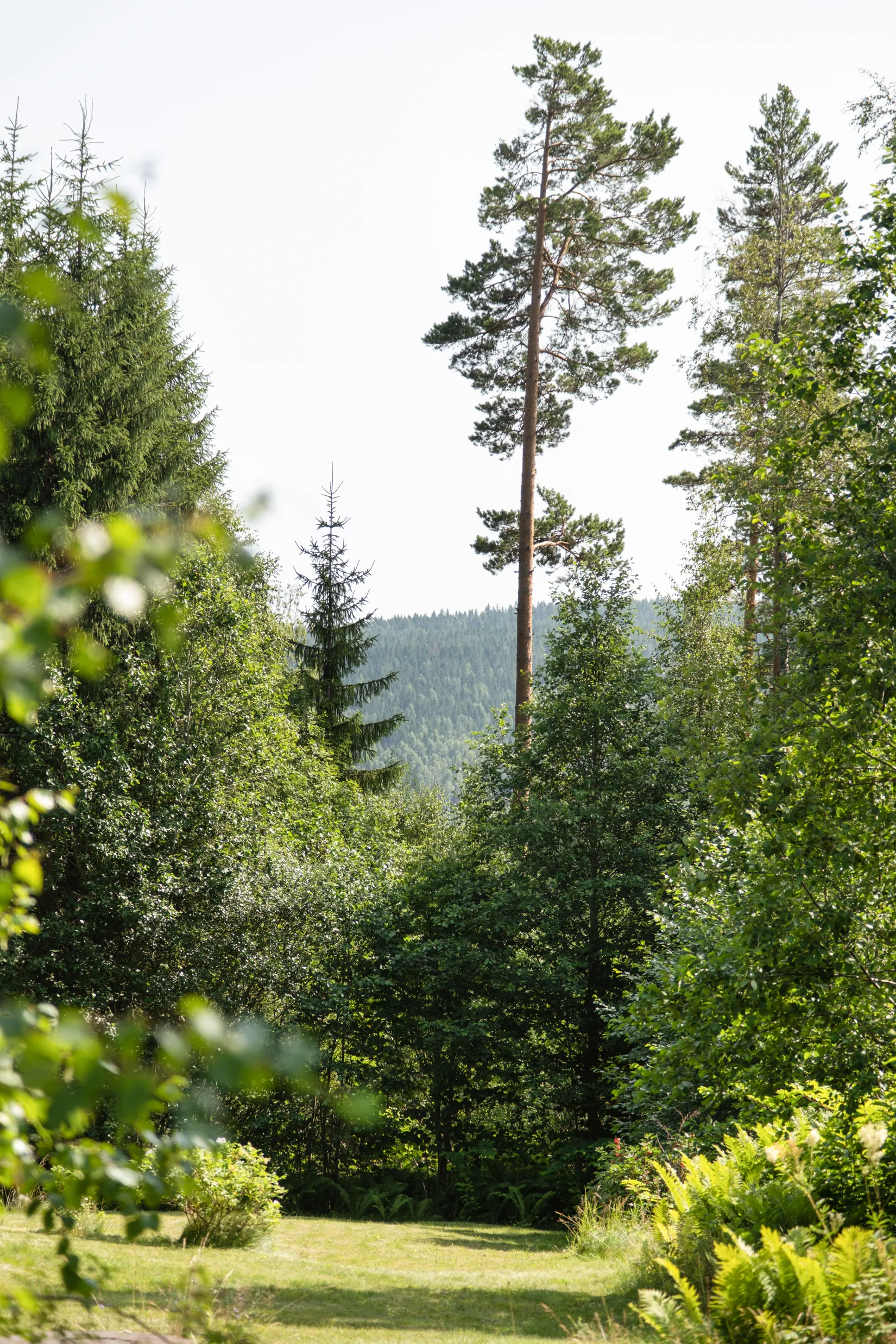 Villa, Forstäppsvägen 22, Sunnansjö, Ludvika