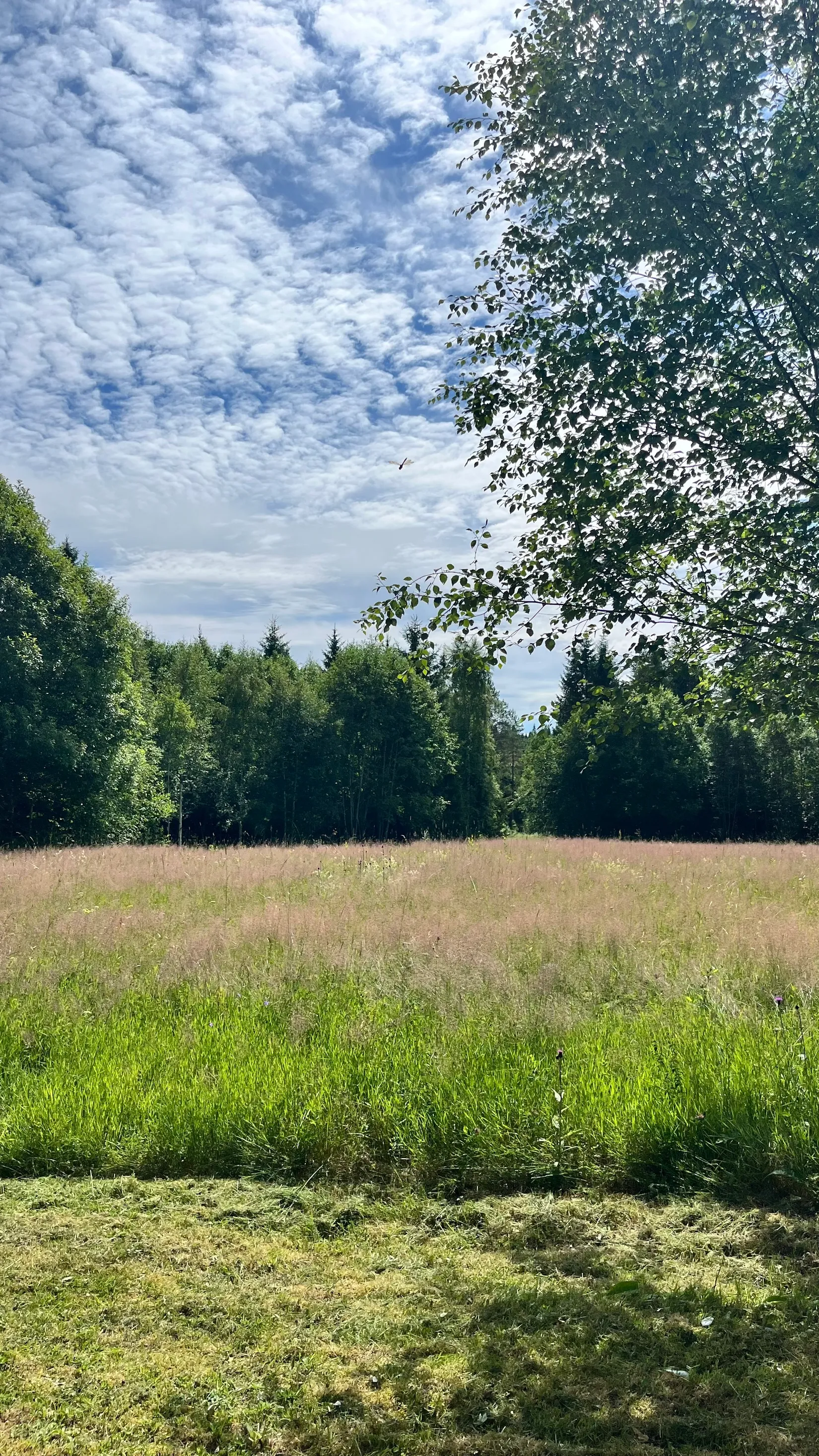 Fritidshus, Änderåsen Badvägen 22, Boda, Rättvik