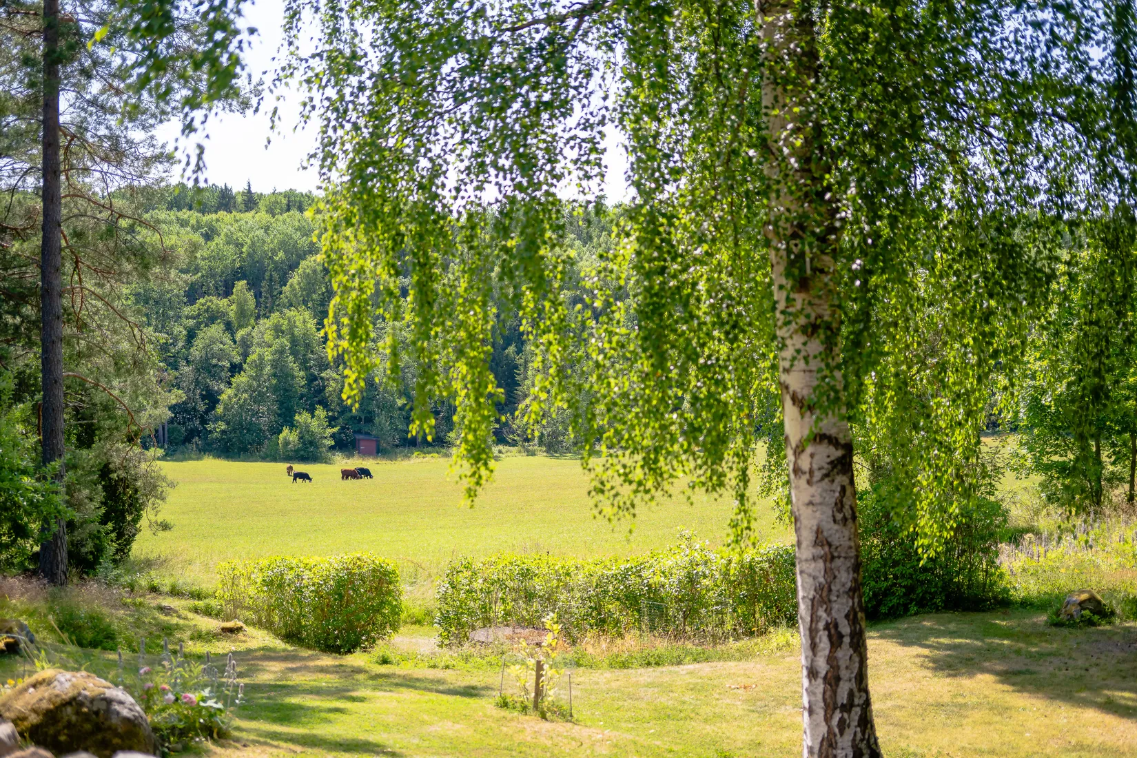 Fritidshus, Kalle körares väg 13, Öllösa, Gnesta
