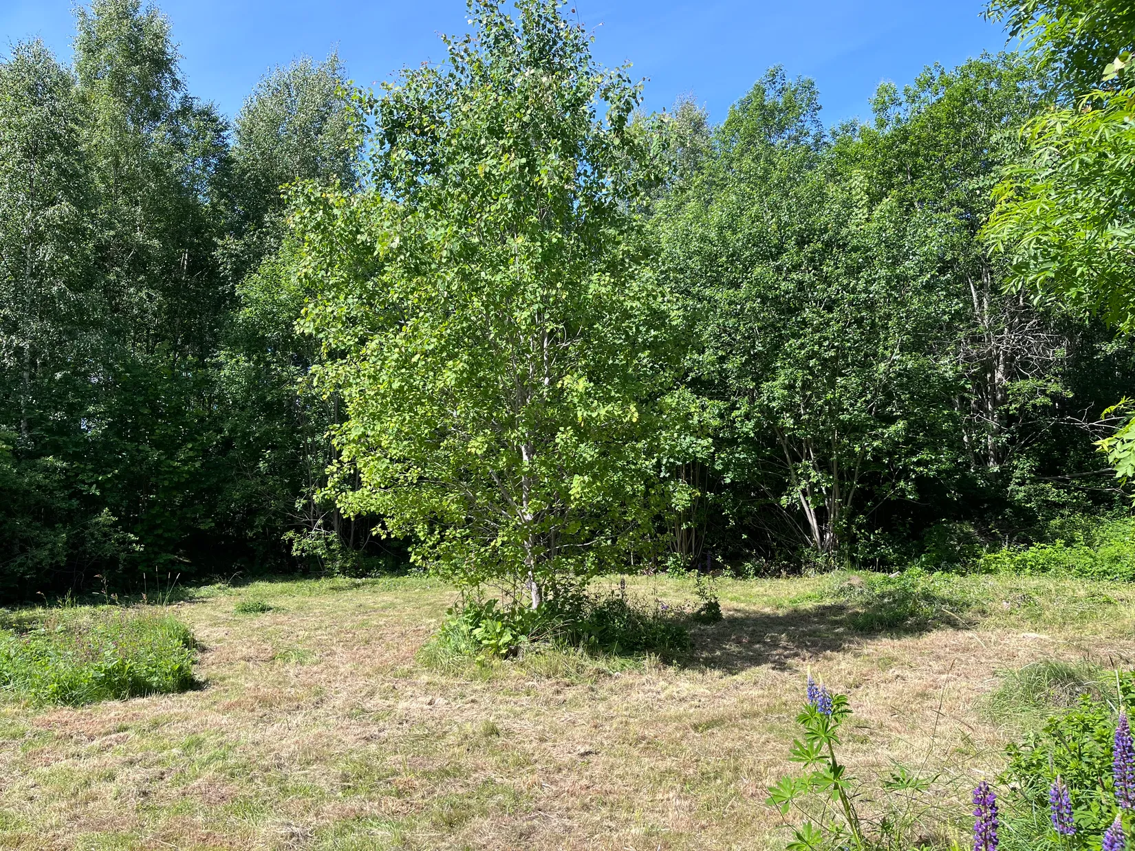 Fritidshus, Stensta 219, Rockhammar, Lindesberg