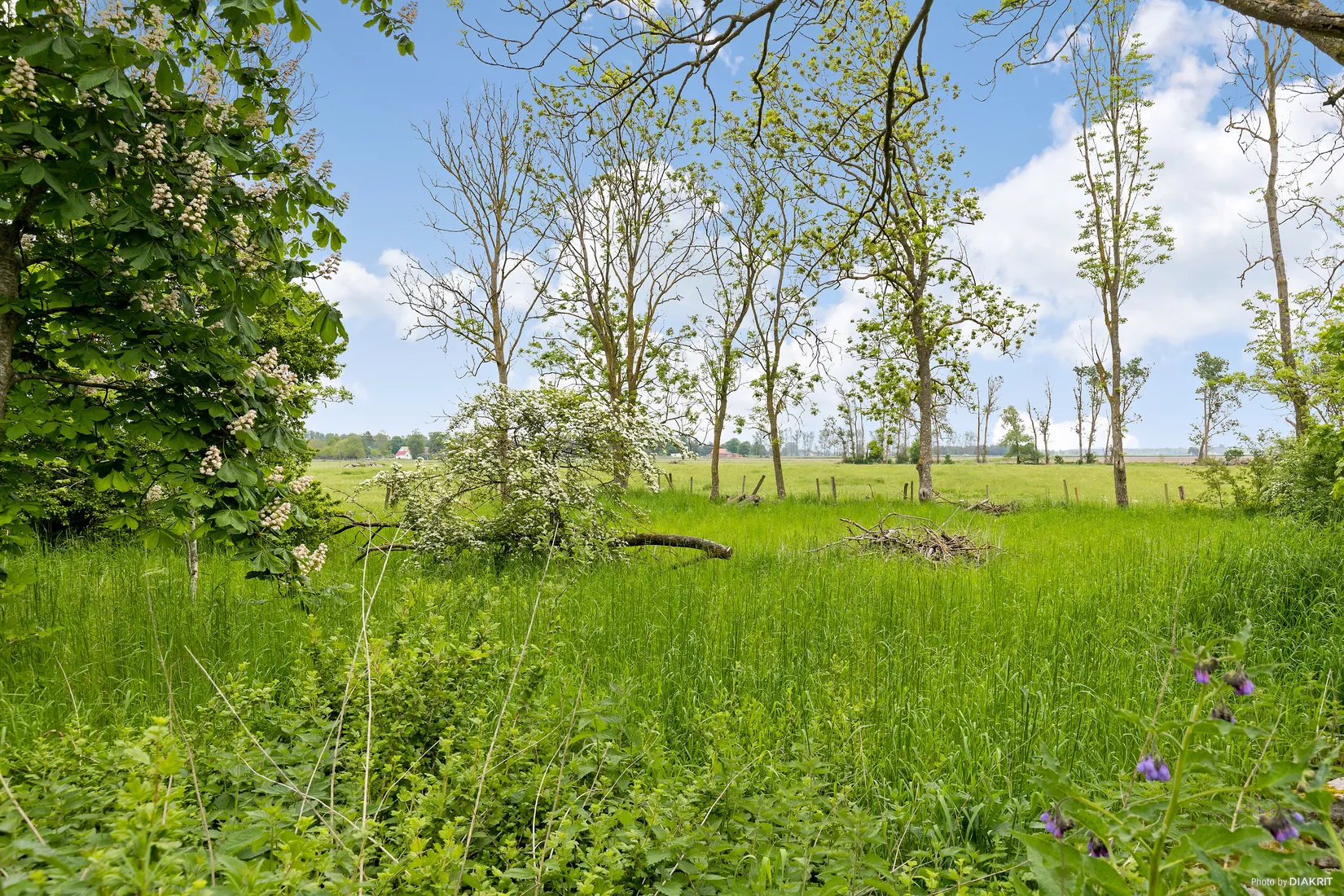 Tomt, Ugerupsvägen 301, Kristianstad