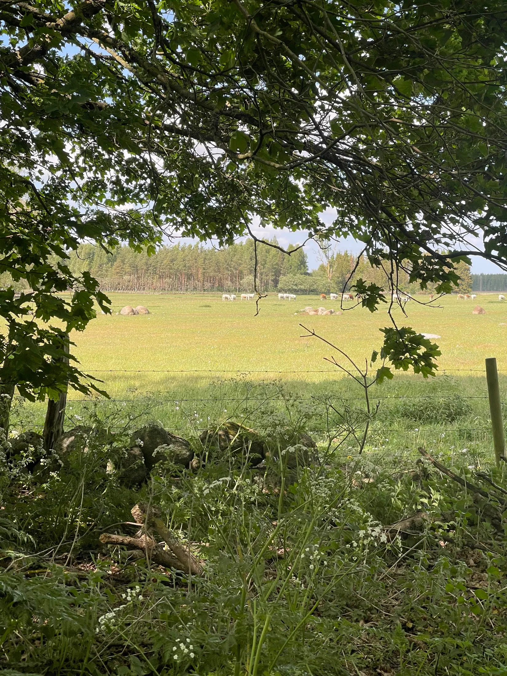 Tomt, Ugerupsvägen 301, Kristianstad