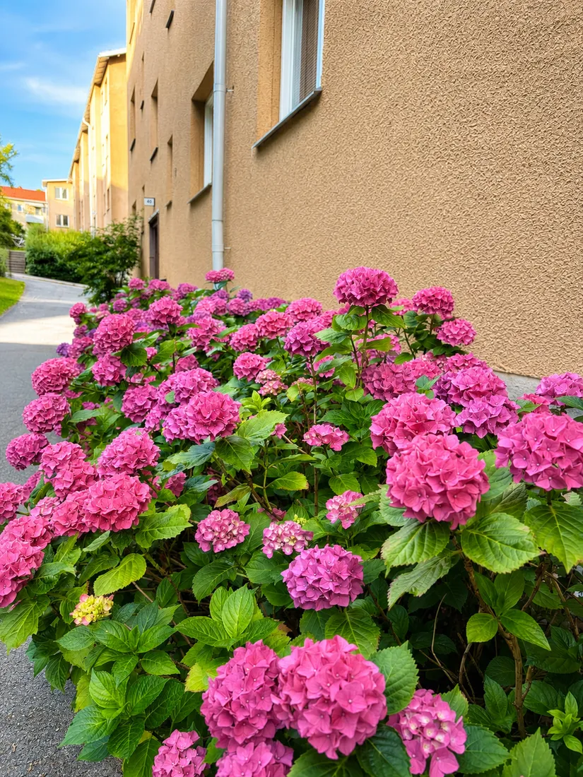 Bostadsrätt, Tämnarvägen 38, 3tr, Årsta, Stockholm