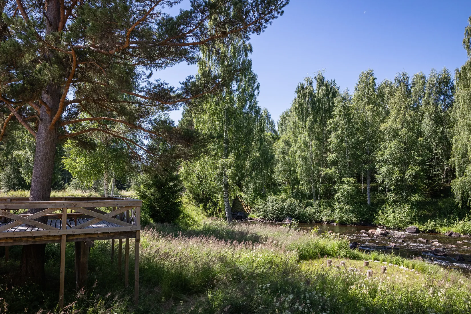 Gård/Skog, Ängra 6, Kårböle, Ljusdal