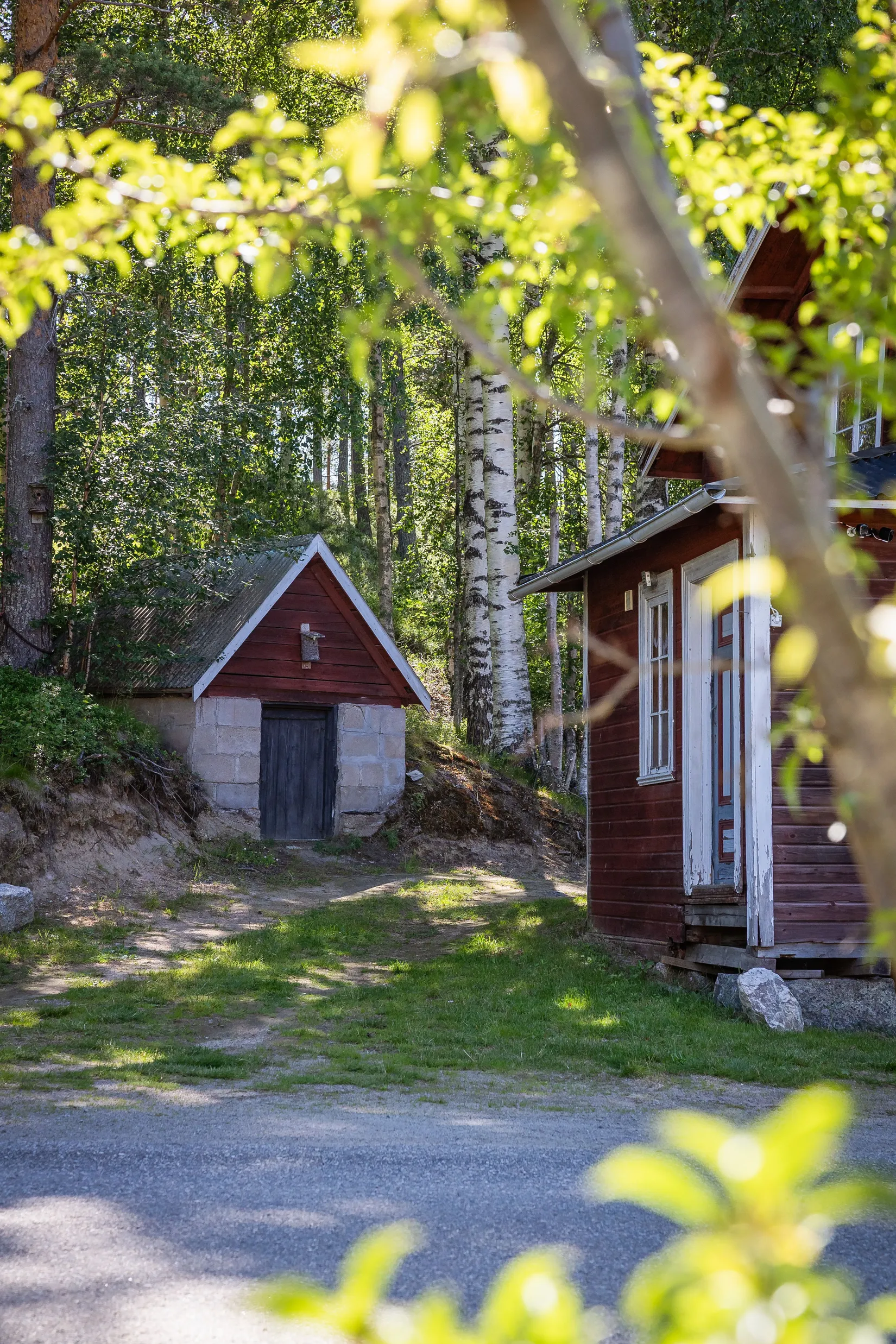 Gård/Skog, Ängra 6, Kårböle, Ljusdal