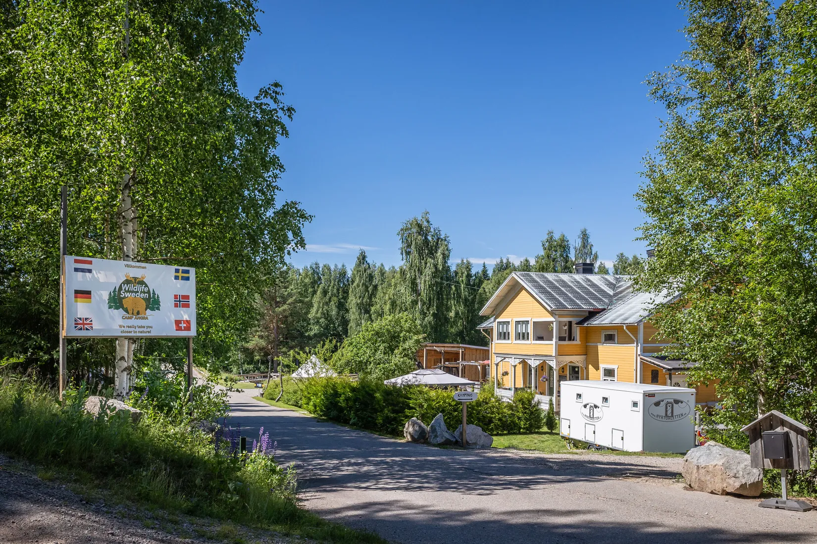 Gård/Skog, Ängra 6, Kårböle, Ljusdal