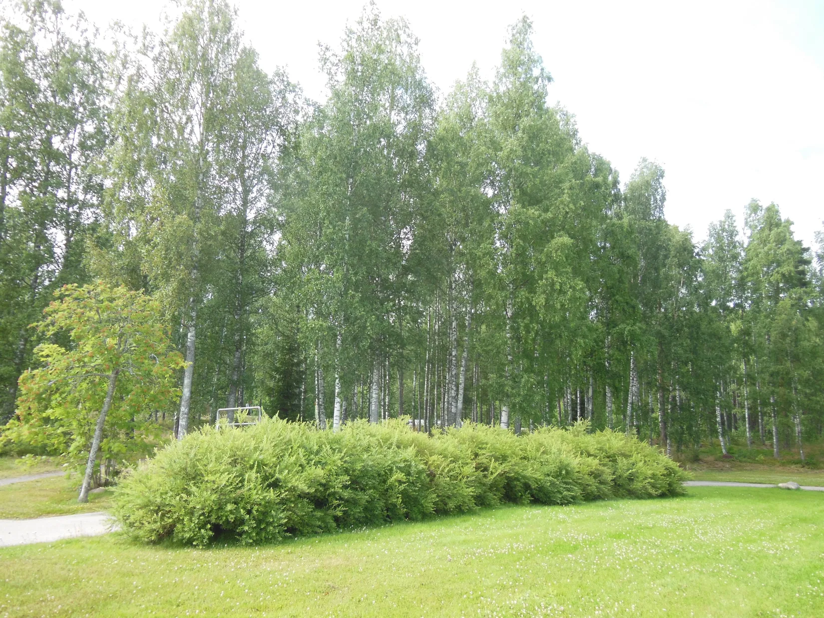 Bostadsrätt, Pedersväg 115, Östra främby, Falun
