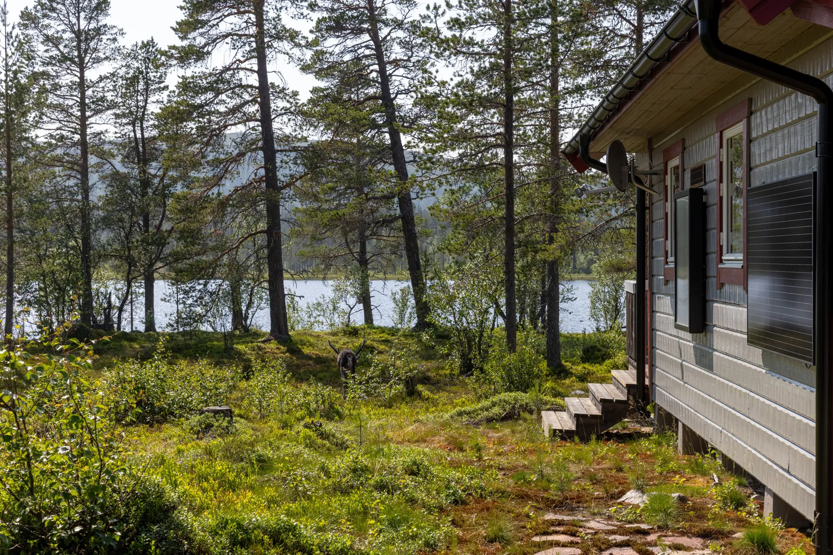 Fritidshus, Lillfjäten 1:13, Lillfjäten, Älvdalen
