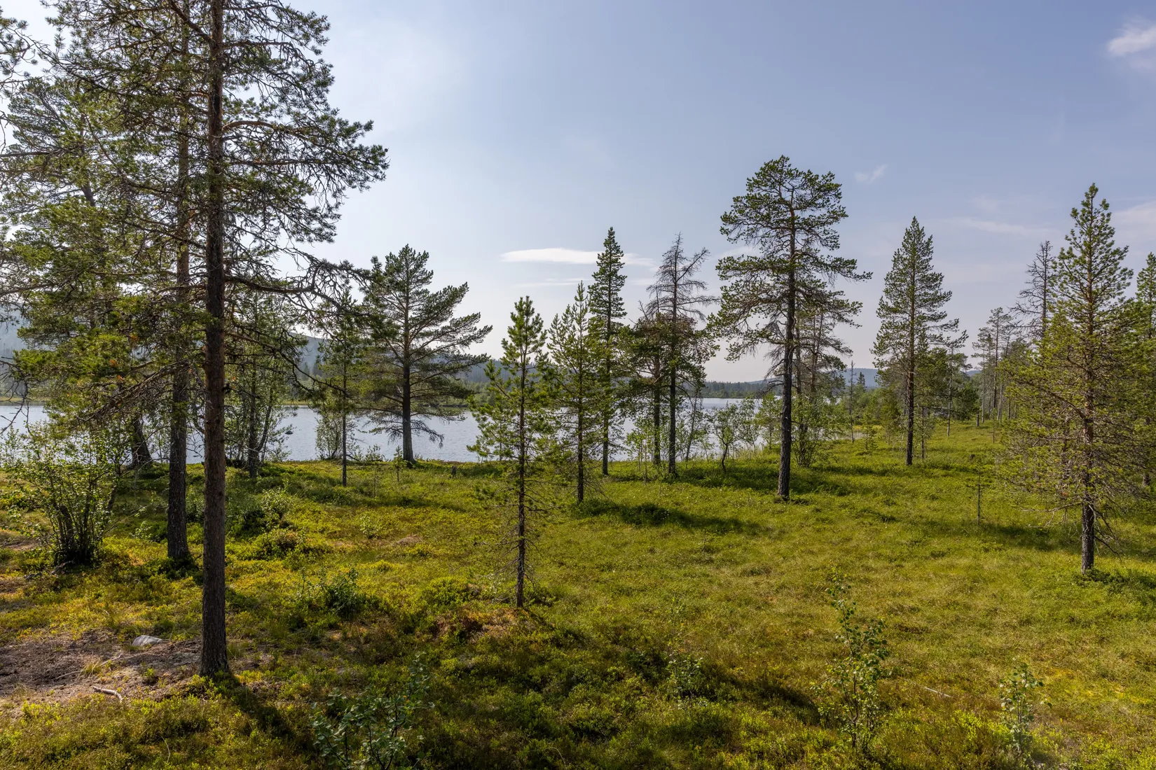 Fritidshus, Lillfjäten 1:13, Lillfjäten, Älvdalen