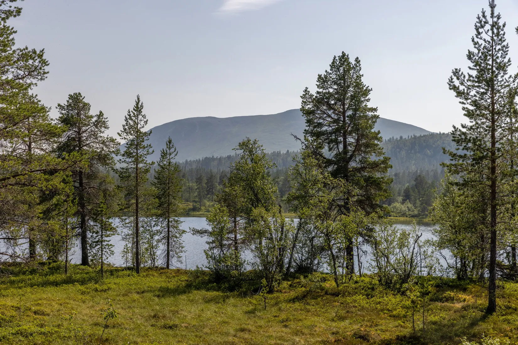 Fritidshus, Lillfjäten 1:13, Lillfjäten, Älvdalen