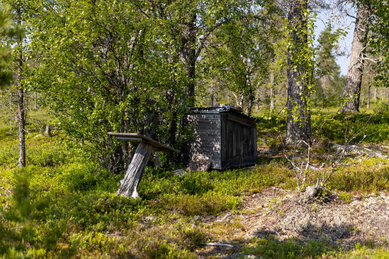 Fritidshus, Lillfjäten 1:13, Lillfjäten, Älvdalen