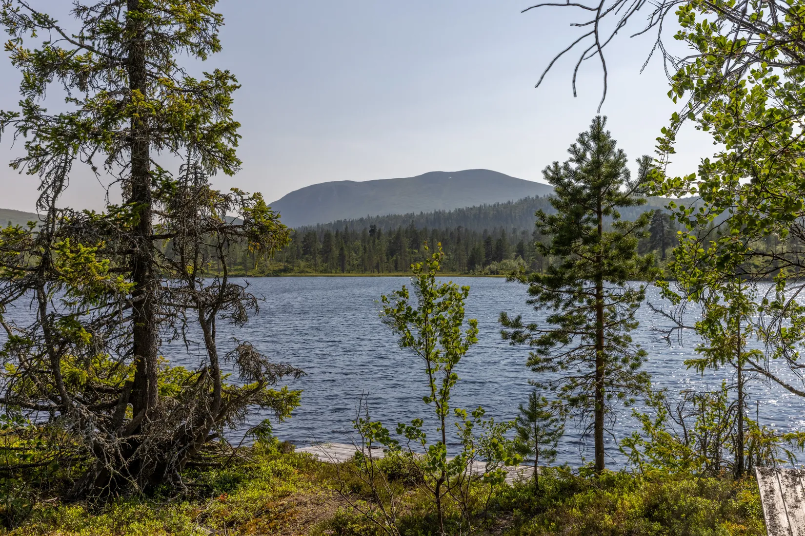 Fritidshus, Lillfjäten 1:13, Lillfjäten, Älvdalen