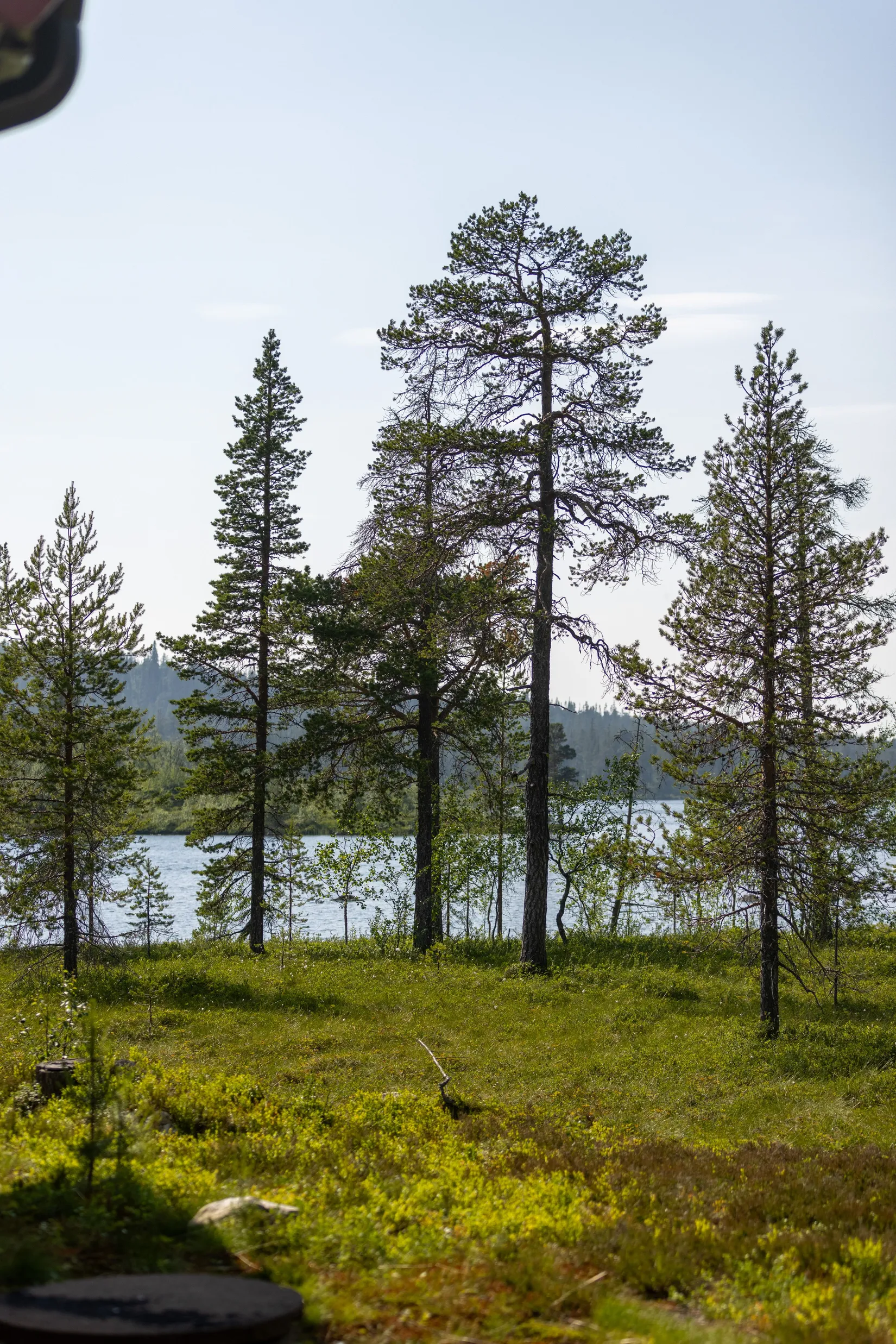 Fritidshus, Lillfjäten 1:13, Lillfjäten, Älvdalen