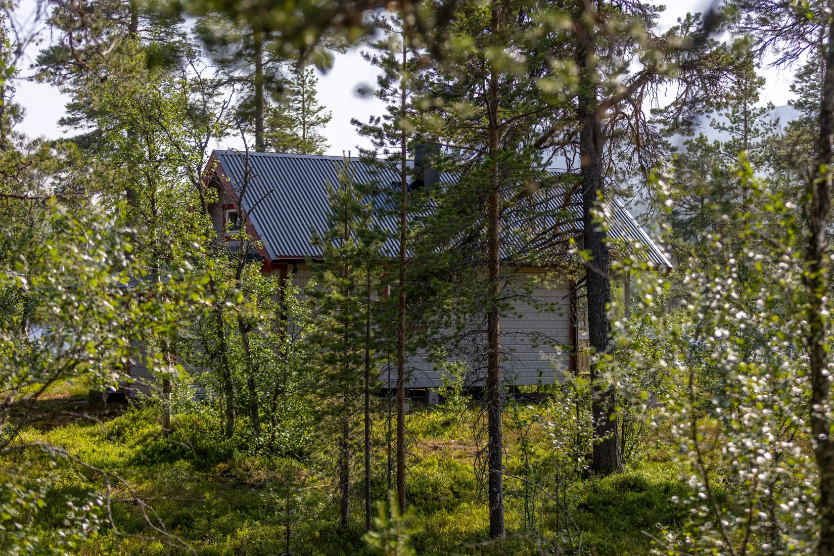 Fritidshus, Lillfjäten 1:13, Lillfjäten, Älvdalen