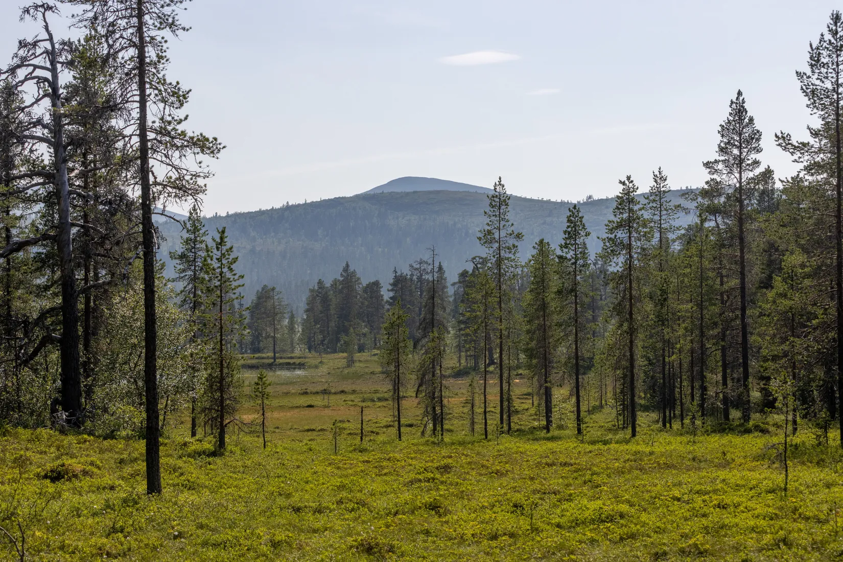 Fritidshus, Lillfjäten 1:13, Lillfjäten, Älvdalen