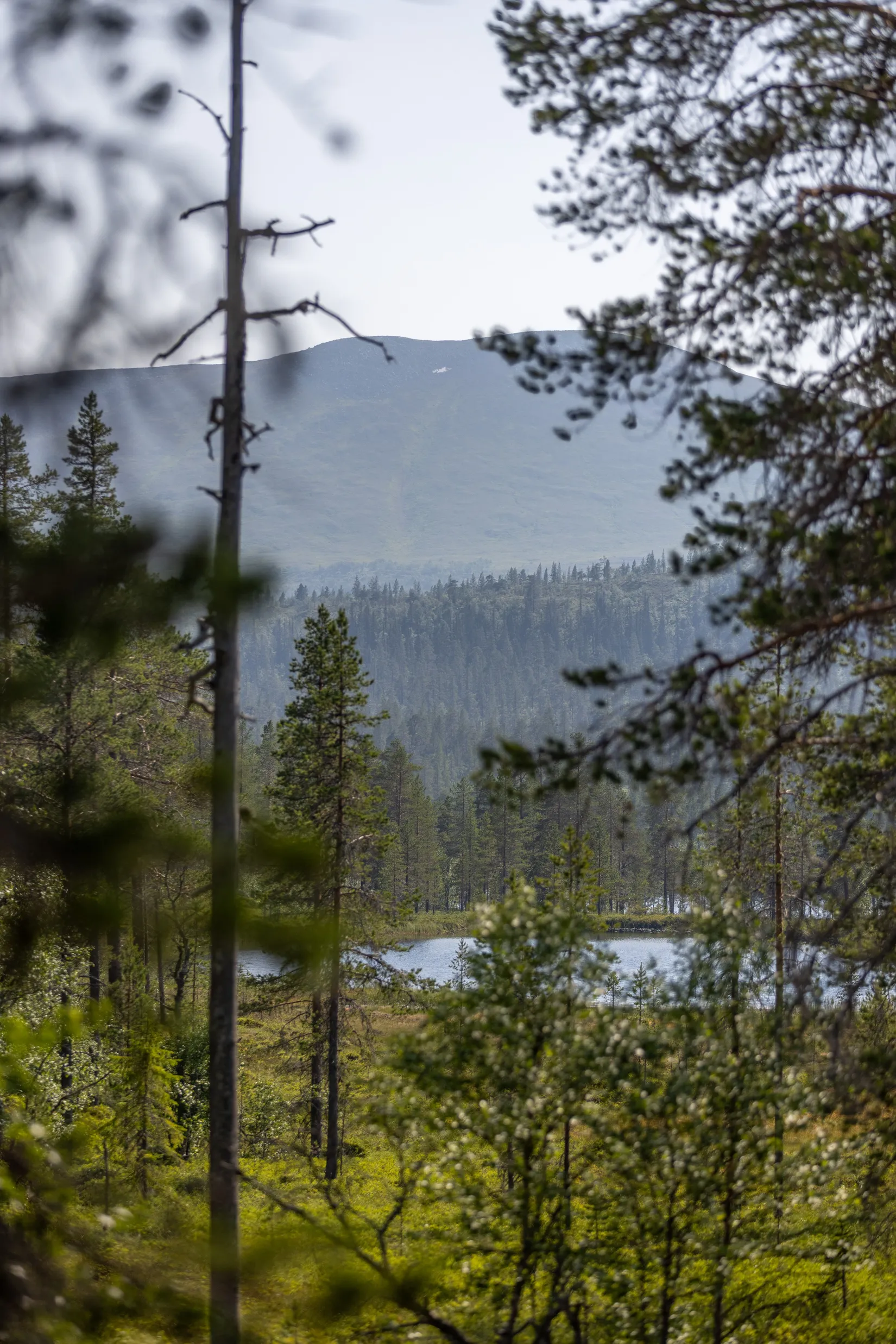 Fritidshus, Lillfjäten 1:13, Lillfjäten, Älvdalen