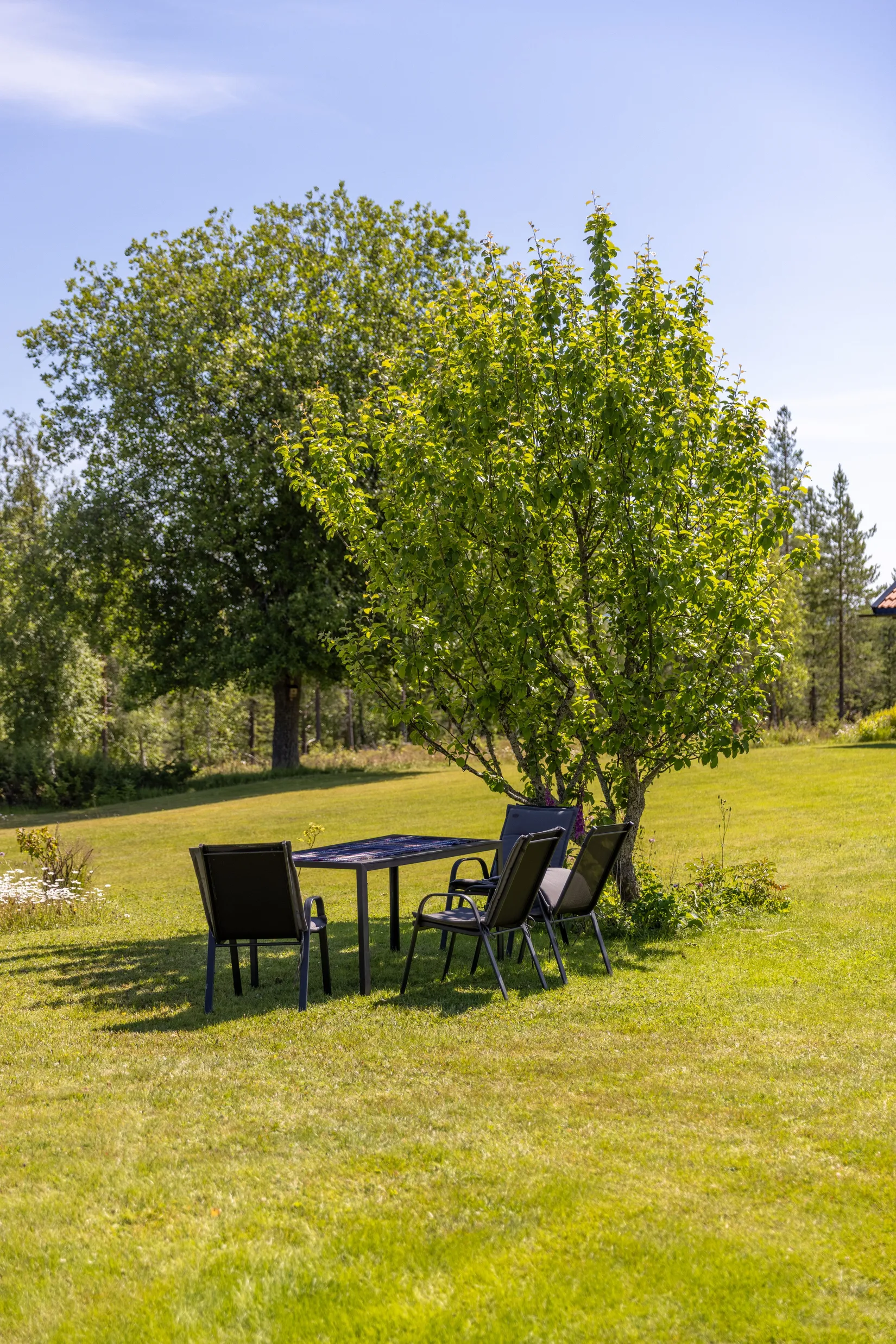 Fritidshus, Dåråberg 11, Dåråberg, Älvdalen