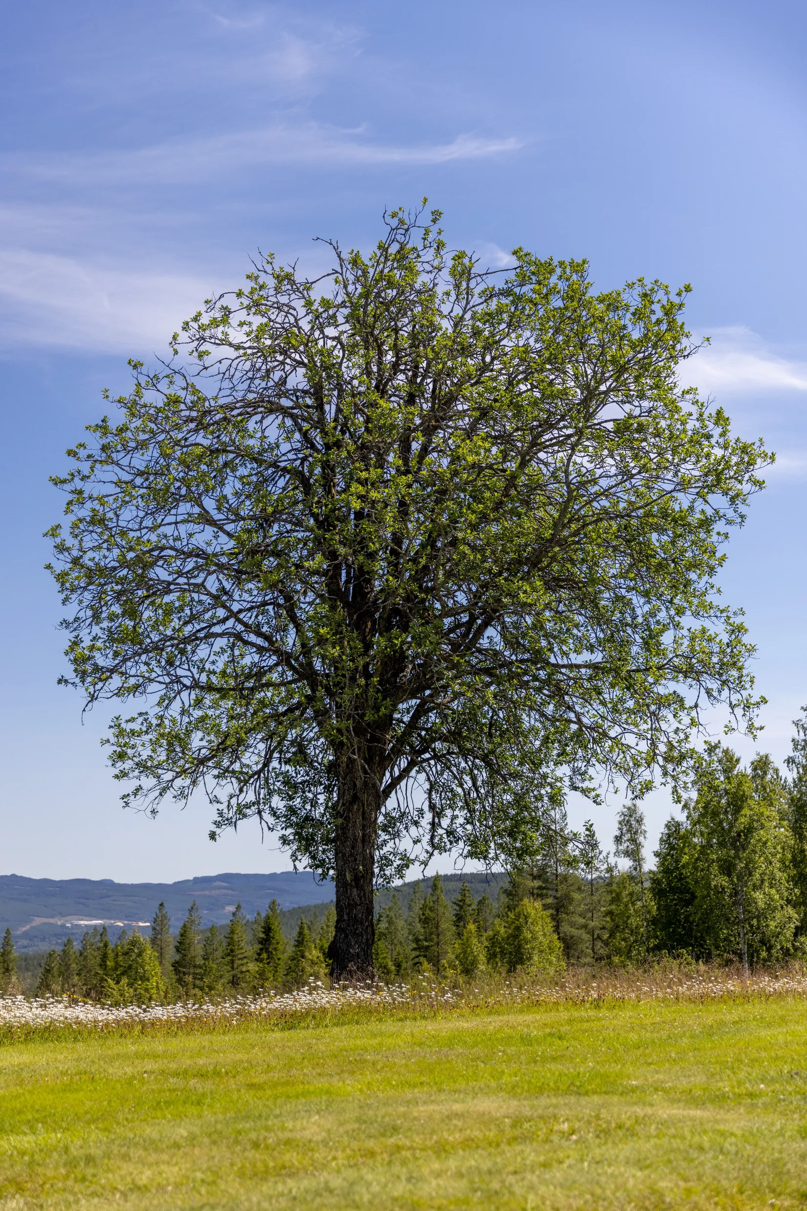 Fritidshus, Dåråberg 11, Dåråberg, Älvdalen
