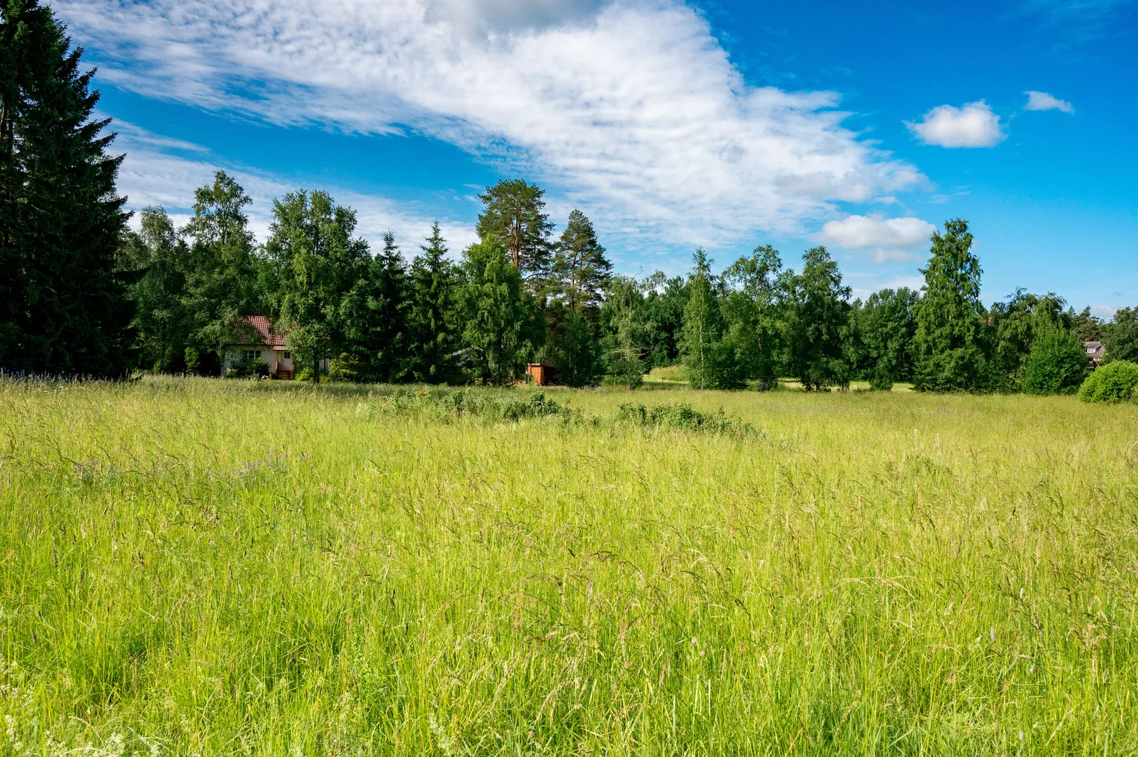 Gård/Skog, Sparlösa Gallegården 4, Sparlösa, Vara