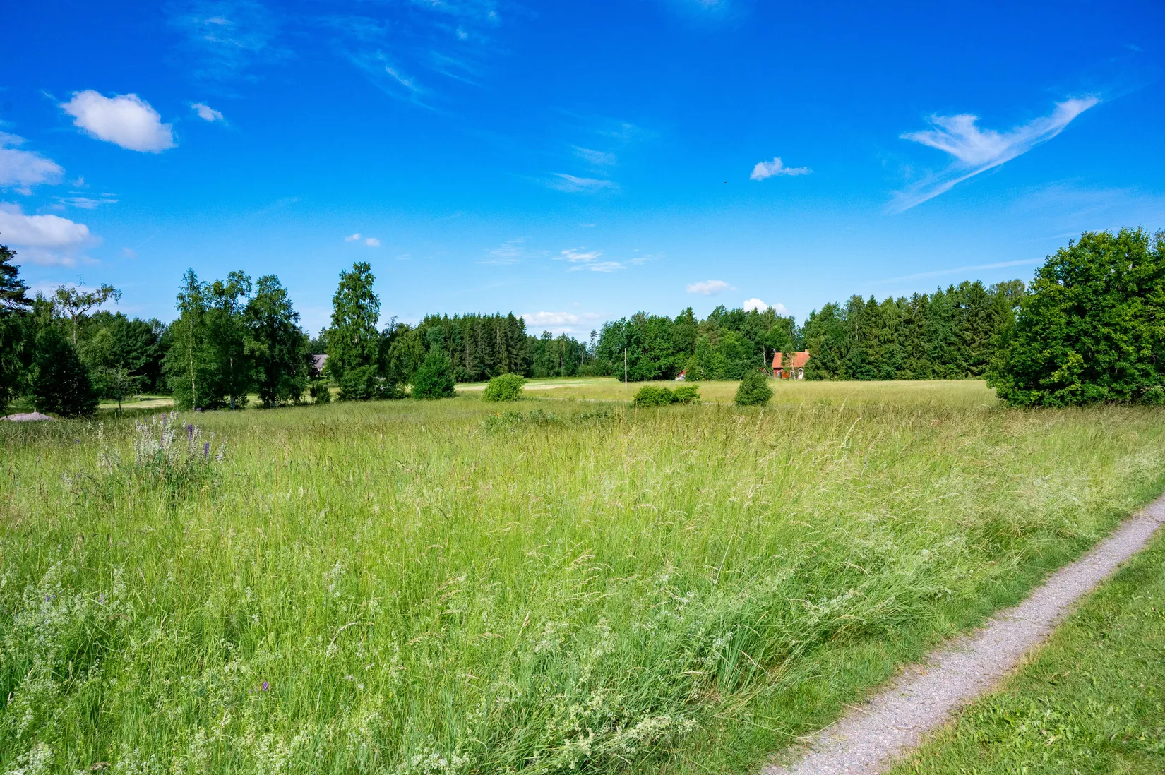 Gård/Skog, Sparlösa Gallegården 4, Sparlösa, Vara