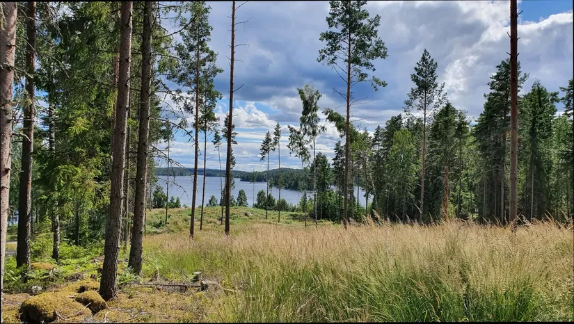 Tomt, Älgåna 1:71, Årjäng