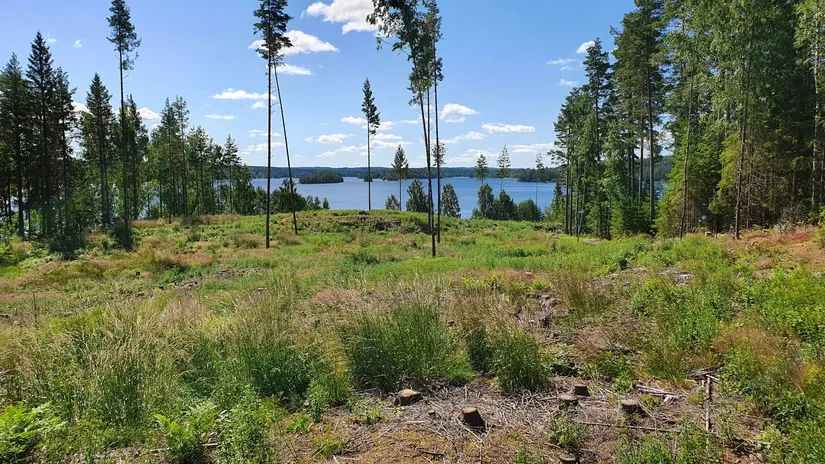 Tomt, Älgåna 1:71, Årjäng